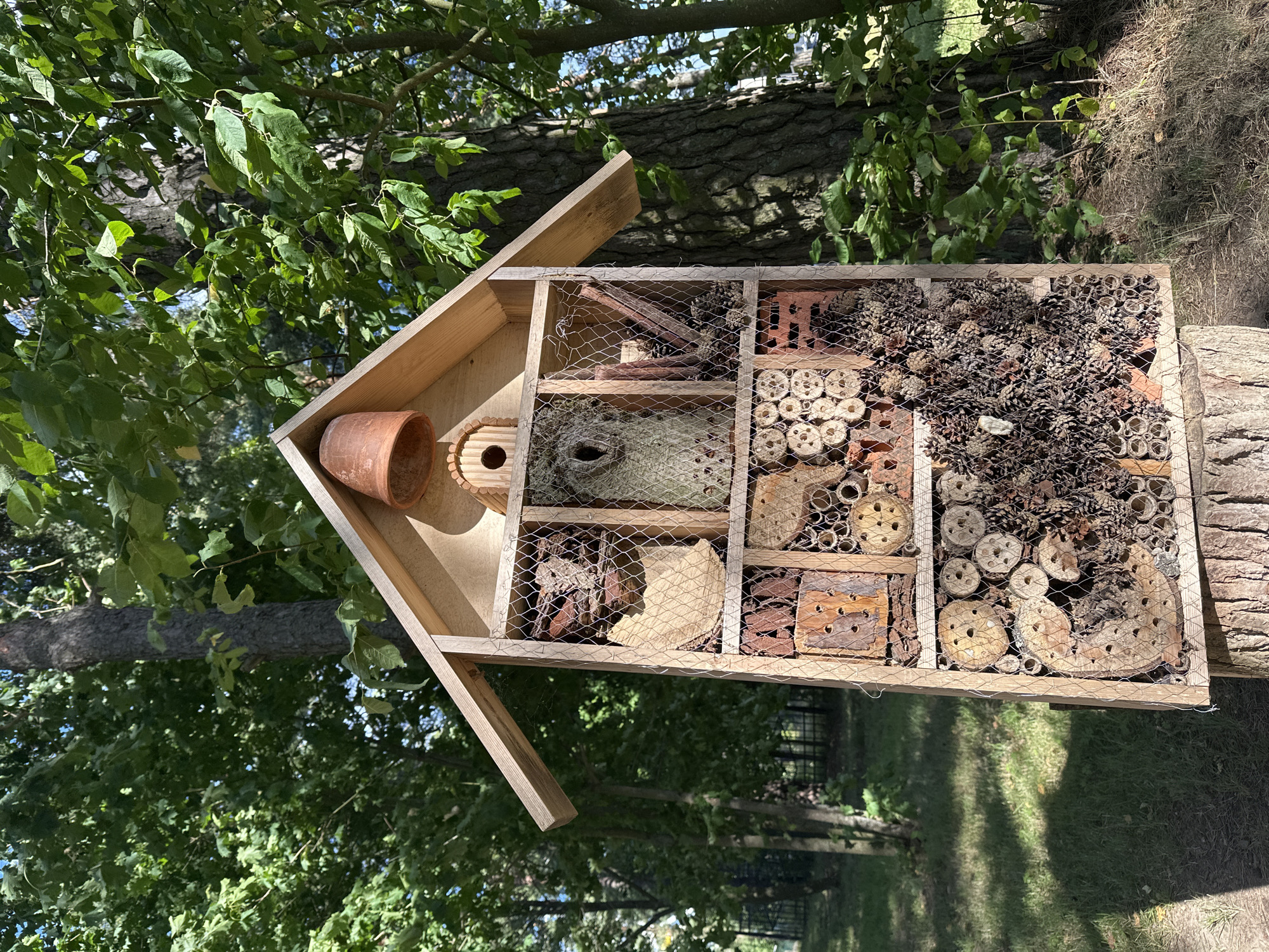 A wooden insect hotel is situated in Zelenogorsk, Russia, supported by a tree stump and surrounded by lush green trees and dappled sunlight. The hotel is a multi-compartment structure filled with various natural materials such as wood, pinecones, and hollowed-out logs, designed to provide shelter for insects. The top of the hotel features a small terracotta pot, and a birdhouse is integrated into its peak. The background consists of dense foliage, with the trunks of mature trees visible. The ground is covered in grass and dry leaves, with shadows cast by the trees and the insect hotel. The scene is static and appears to be in an outdoor, natural setting.