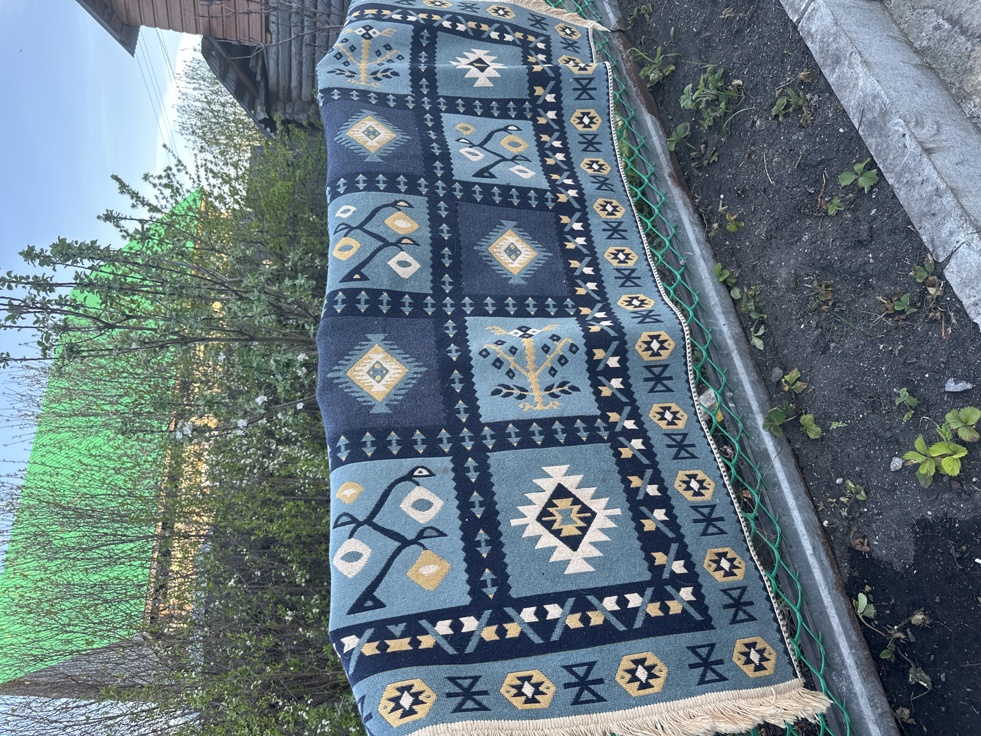 A medium shot presents a blue and beige rug, patterned with geometric shapes, draped over a green wire fence at an outdoor location. The rug's fringed edge hangs slightly over the fence. A metal ledge borders the fence on one side. Adjacent to the fence is a dark, dirt-covered area with scattered green plants. Beyond the fence, verdant foliage obscures the lower part of a structure with a green roof and weathered wooden siding. A blue sky is visible in the upper-left corner of the frame. The image exhibits an outdoor setting on a day with fair weather. The location is Unknown, Unknown.