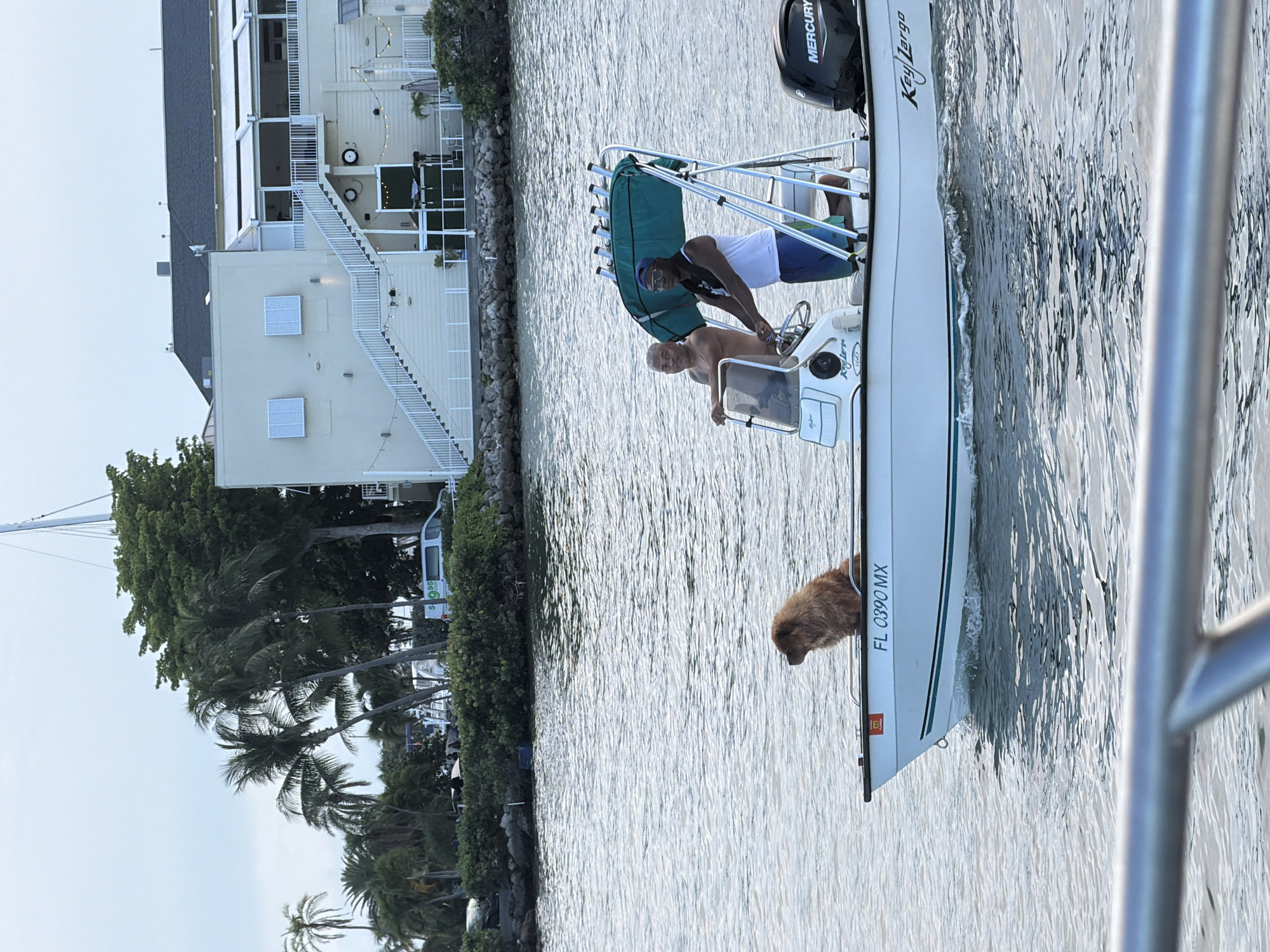 In Miami, Florida, USA, a white boat with the name "Key Largo" on its side cruises on the water. A fluffy brown dog sits in the front of the boat, looking to the side. Two men are in the boat; one is steering, and the other is standing next to him. The boat has a green canopy to provide shade. In the background, a building with white stairs and a railing is visible, and palm trees line the shore. The sky is overcast.