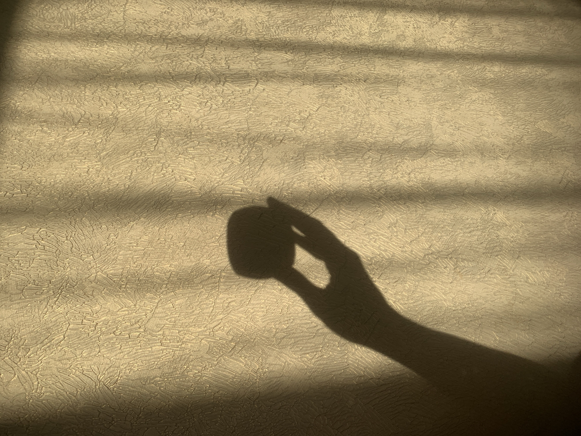 The image shows the shadow of a hand holding an object, projected onto a textured wall. The wall appears to be covered in a light-colored, possibly beige or cream-colored, material with a crackle or textured pattern. The shadow is dark and clearly defined. There are also shadows of what may be window blinds or slats cast on the wall. There is no information to indicate this image was taken in Izhevsk, Russia.