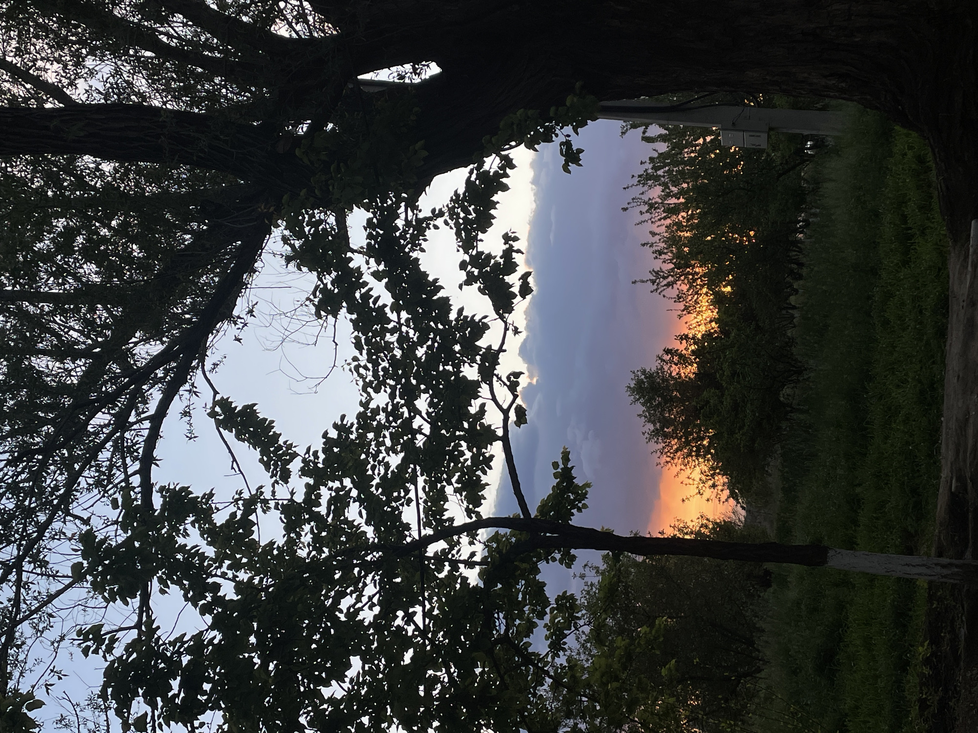 The image depicts a twilight scene, likely near or at dusk. The perspective is from the ground, looking up through the silhouettes of tree branches and leaves. A small opening between the trees frames a view of the sky, transitioning from a light blue near the horizon to a deeper, purplish-gray higher up, with a band of orange suggesting the setting sun.
In the foreground, the dark foliage of the trees dominates, obscuring much of the view. The background includes additional trees and vegetation, appearing darker and less distinct due to the low light conditions.
There are no people present in the scene.
The location is Apaga, Armenia.