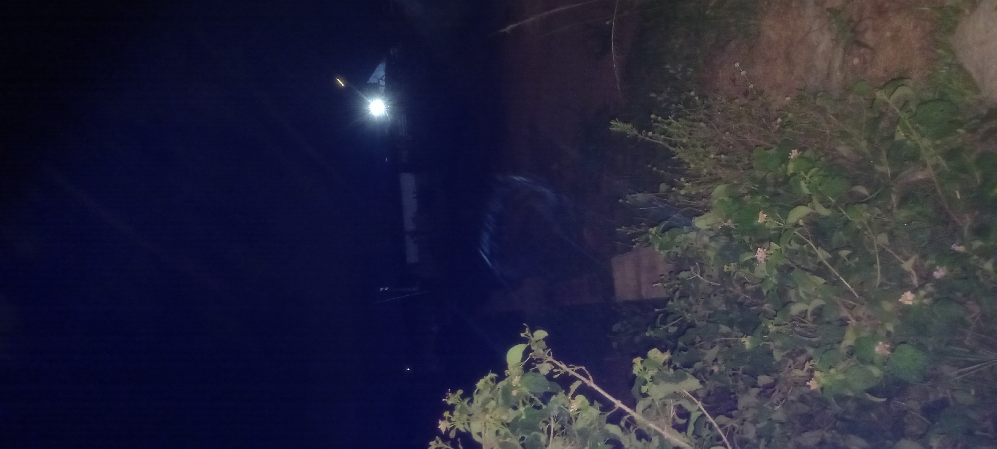 A nighttime exterior scene in Kwang, Nigeria, captures a dimly lit path curving through overgrown vegetation. In the foreground, lush green plants with small pink and white flowers dominate the left side of the frame. To the right, a dirt path is visible, bordered by more greenery. In the background, a building with bright lights is illuminated, suggesting a dwelling or a commercial establishment. The overall impression is one of a rural or semi-rural setting at night, with natural elements juxtaposed against artificial light.