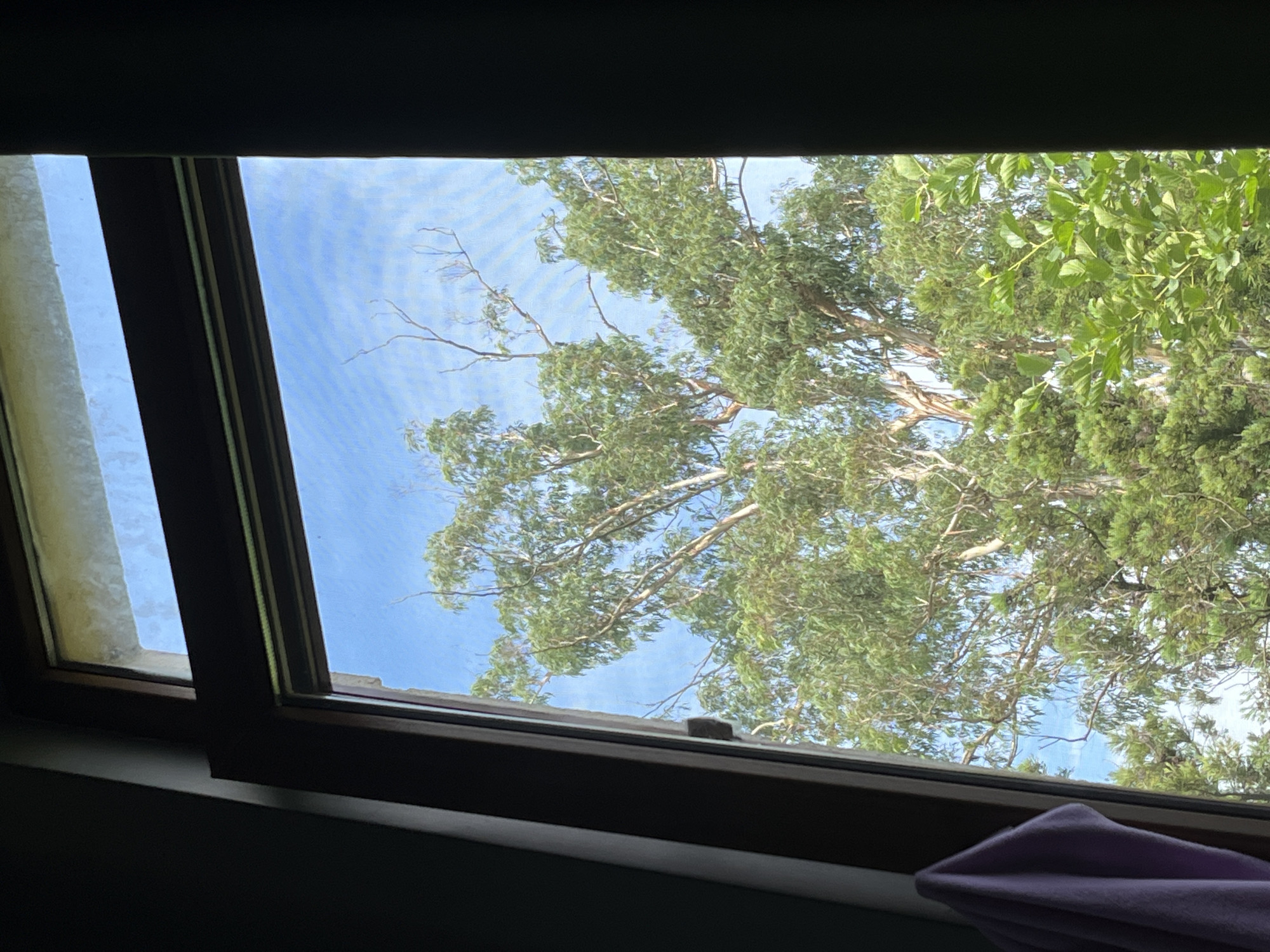 A light purple towel hangs on the left side of a dark brown window frame. Through the window, a large tree with green leaves and a light brown trunk fills the frame. The sky is blue with wispy white clouds. The scene is outdoors, possibly in the city of Ureki, Georgia.