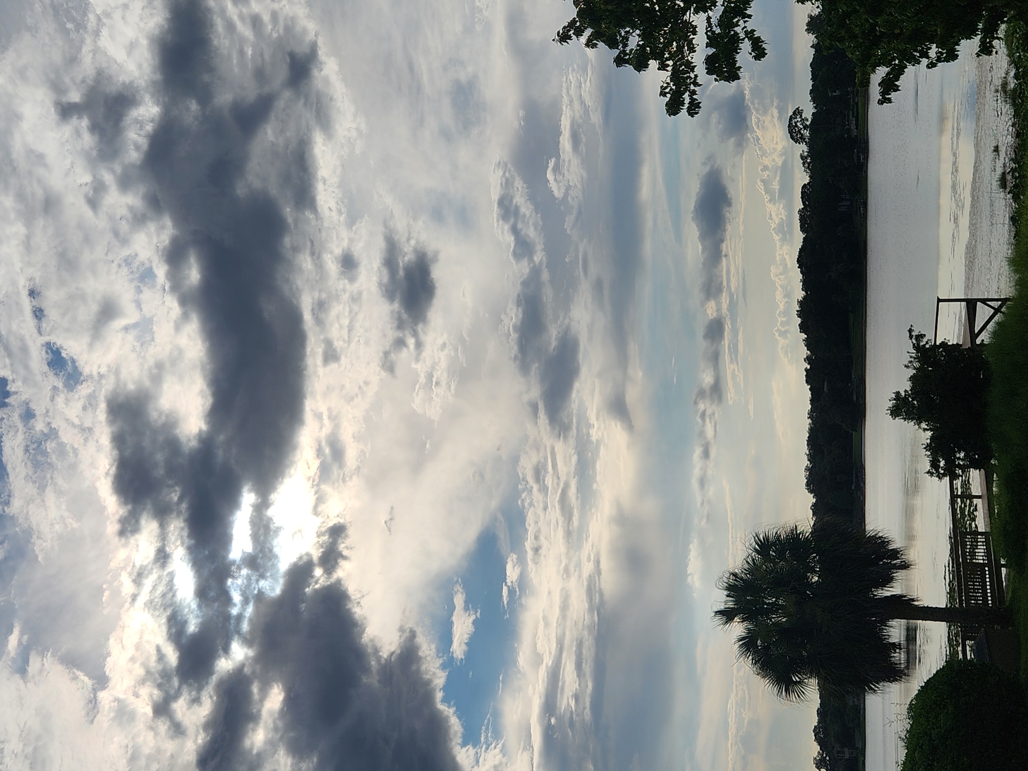 This is a vertical, medium-angle, full-shot photograph of a body of water, possibly a lake, on a cloudy day. The sky dominates the upper two-thirds of the frame with a dramatic display of dark gray and white clouds. Sunlight filters through gaps in the clouds, creating illuminated areas. The lower third of the image shows a calm body of water with a treeline in the distance. A silhouette of a palm tree stands prominently on the left side of the frame, near a wooden dock. The environment appears to be a natural landscape with some signs of human development, such as the dock and distant structures visible through the trees. The overall mood is serene and somewhat moody due to the cloud cover.