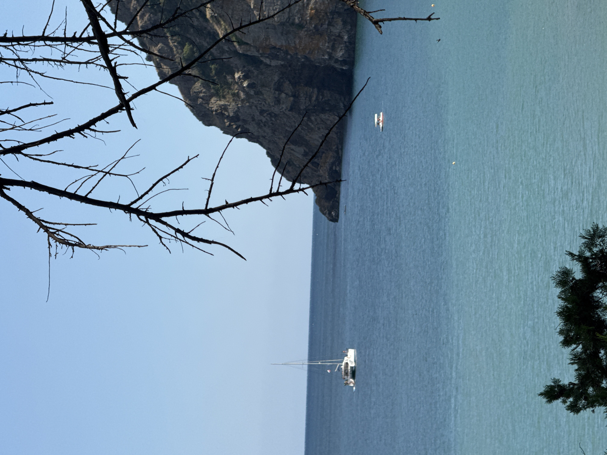 A daytime, medium shot captures a view of the sea and a rocky cliff from a slightly elevated perspective. In the foreground, the dark, skeletal branches of a dead tree partially obscure the scene. The sea occupies the majority of the frame, with a lighter, turquoise hue closer to the shore and a deeper blue further out. Two boats are visible on the water: a white catamaran with a single mast is positioned to the left, and a smaller, orange and white vessel is seen near the base of the cliff on the right. The cliff, a prominent geological feature, rises steeply from the sea on the right side of the image. The sky is a clear, pale blue. The scene is devoid of people and conveys a sense of natural landscape.