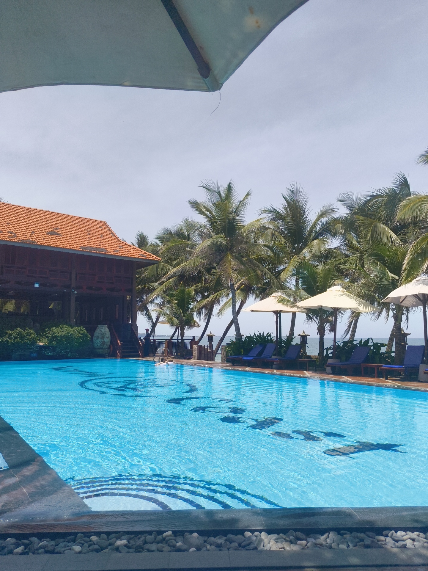 This is a wide shot of a swimming pool area at a resort in Phu Thuy Ward, Vietnam. The pool is bright blue and filled with water, featuring decorative dark blue fish-like shapes at the bottom. In the background, there is a traditional wooden building with an orange tiled roof, surrounded by lush green bushes. Palm trees line the area behind the building and extend to the right, with lounge chairs and umbrellas set up for relaxation. The sky is overcast, suggesting a warm but not intensely sunny day. The foreground shows the edge of the pool, with a pathway made of pebbles. There are a few people visible, some near the building and one person in the pool. The overall atmosphere is one of a tranquil tropical resort.