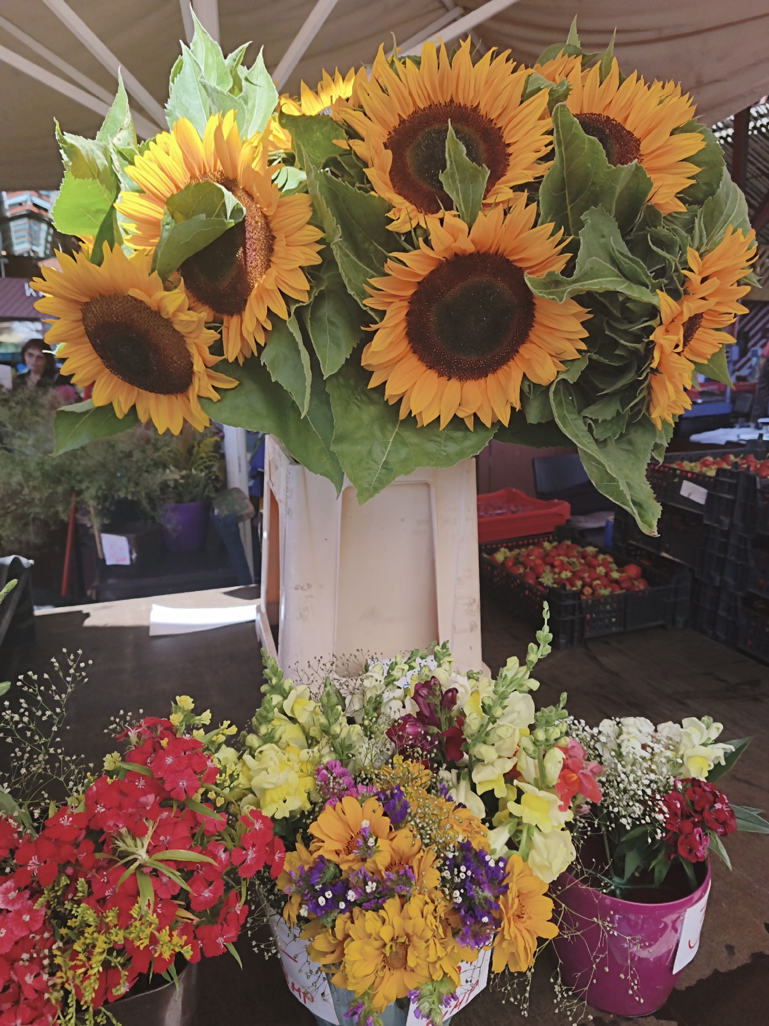 The image depicts a vibrant outdoor market stall in Tallinn, Estonia, showcasing a colorful array of flowers. Dominating the foreground are large bouquets of bright yellow sunflowers, their dark centers contrasting with the vivid petals. Below the sunflowers, several smaller arrangements feature a mix of red carnations, yellow snapdragons, purple statice, and delicate white baby's breath. These bouquets are displayed in buckets and pots, some of which are a deep magenta color. In the background, hints of the market environment are visible, with crates of red strawberries stacked in black plastic containers and a glimpse of greenery from other plants. A person can be seen partially in the left background, blurred and out of focus. The overall scene suggests a bustling, outdoor flower market.
