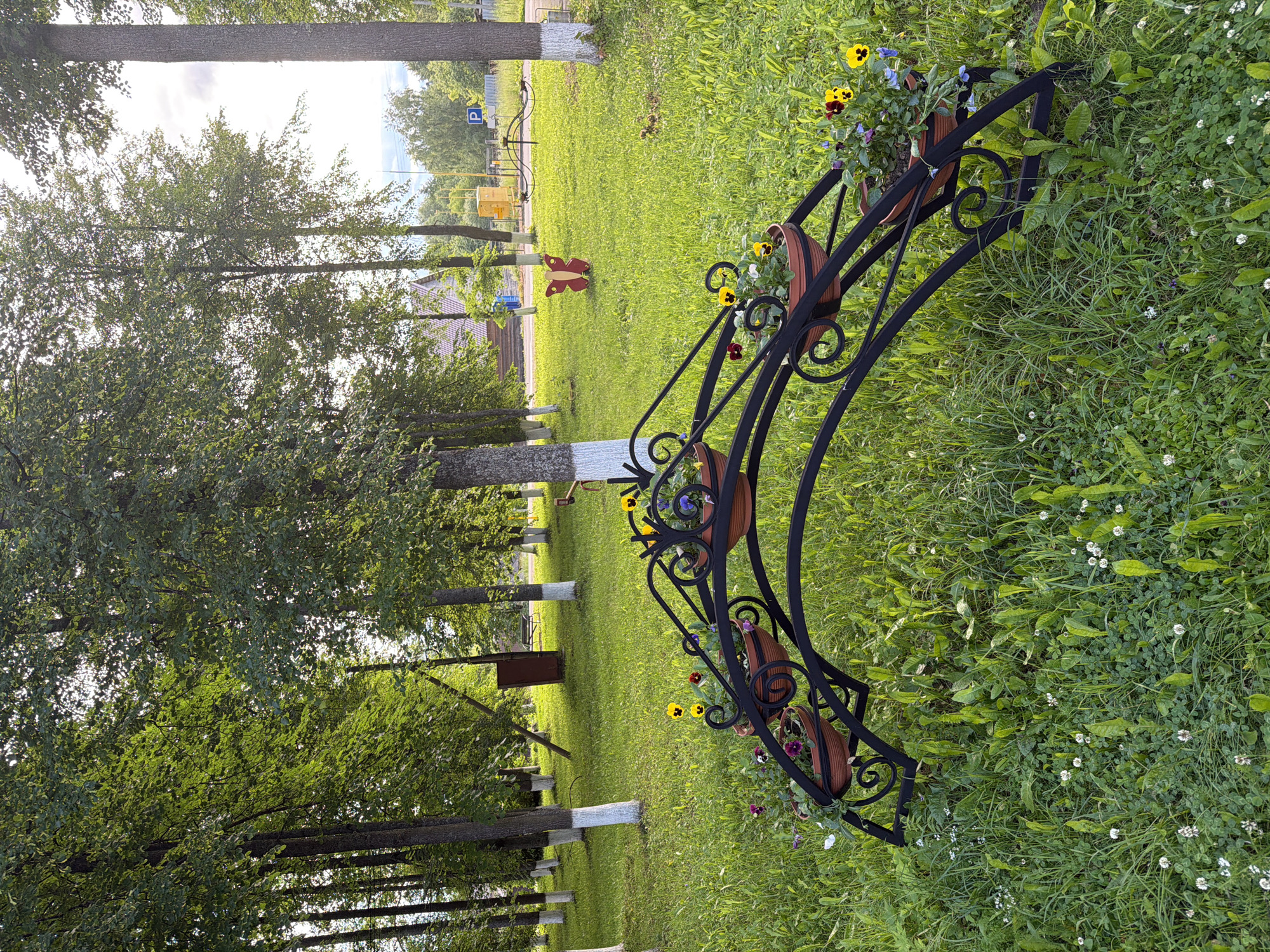 The media file displays a park or outdoor recreational area in Moshenskoe, Russia. The scene is dominated by lush green grass, tall trees with dense foliage, and a cloudy sky suggesting a moderate day. In the foreground, a black wrought-iron decorative archway holds several potted plants with vibrant yellow, purple, and red flowers. The archway is intricately designed with swirling patterns.
Further back, a paved path is visible, lined with trees whose lower trunks are painted white. Along the path, there are hints of buildings, a yellow mailbox, and a red wooden butterfly decoration. A "P" sign for parking is also visible, indicating a public space. The overall impression is one of a well-maintained, peaceful outdoor environment, possibly a village square or a park area. The time of day appears to be daytime, and the weather seems mild, as evidenced by the green vegetation and the cloudy sky. No people are visible in the media file. The camera is positioned at an angle, giving a unique perspective on the scene.
