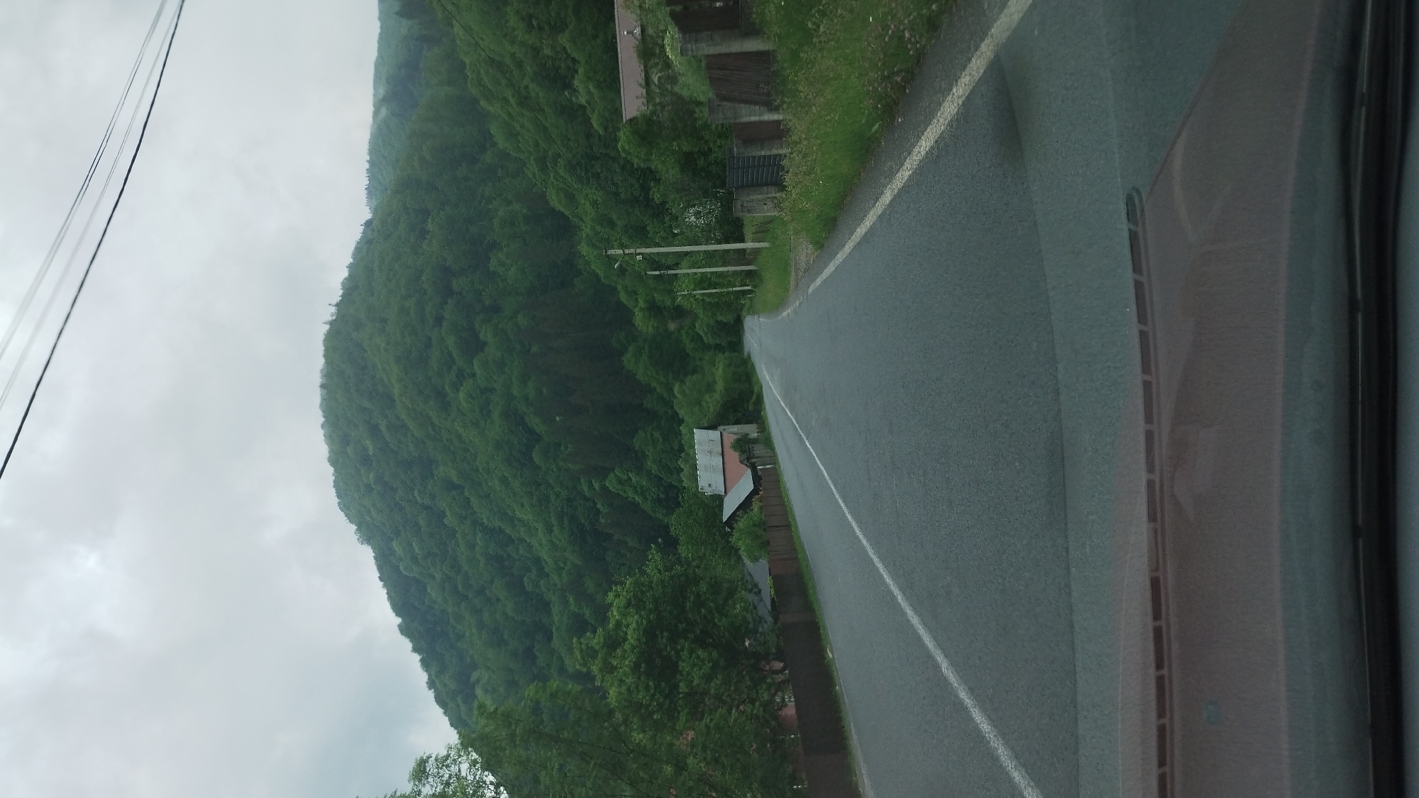 The image shows a road passing through a rural area, with dense green hills rising on either side. The road is paved with asphalt and has a white line marking the center. There are some houses and fences visible along the side of the road, suggesting a village or scattered dwellings. The sky is overcast and appears to be cloudy or foggy, contributing to a subdued lighting condition. The foreground shows the hood and windshield of a vehicle, indicating the image was taken from inside a car. The overall impression is one of a natural, mountainous landscape with human settlement integrated into it. This scene could be located in the vicinity of Bilyn, Ukraine, given the characteristic mountainous terrain and rural architecture.