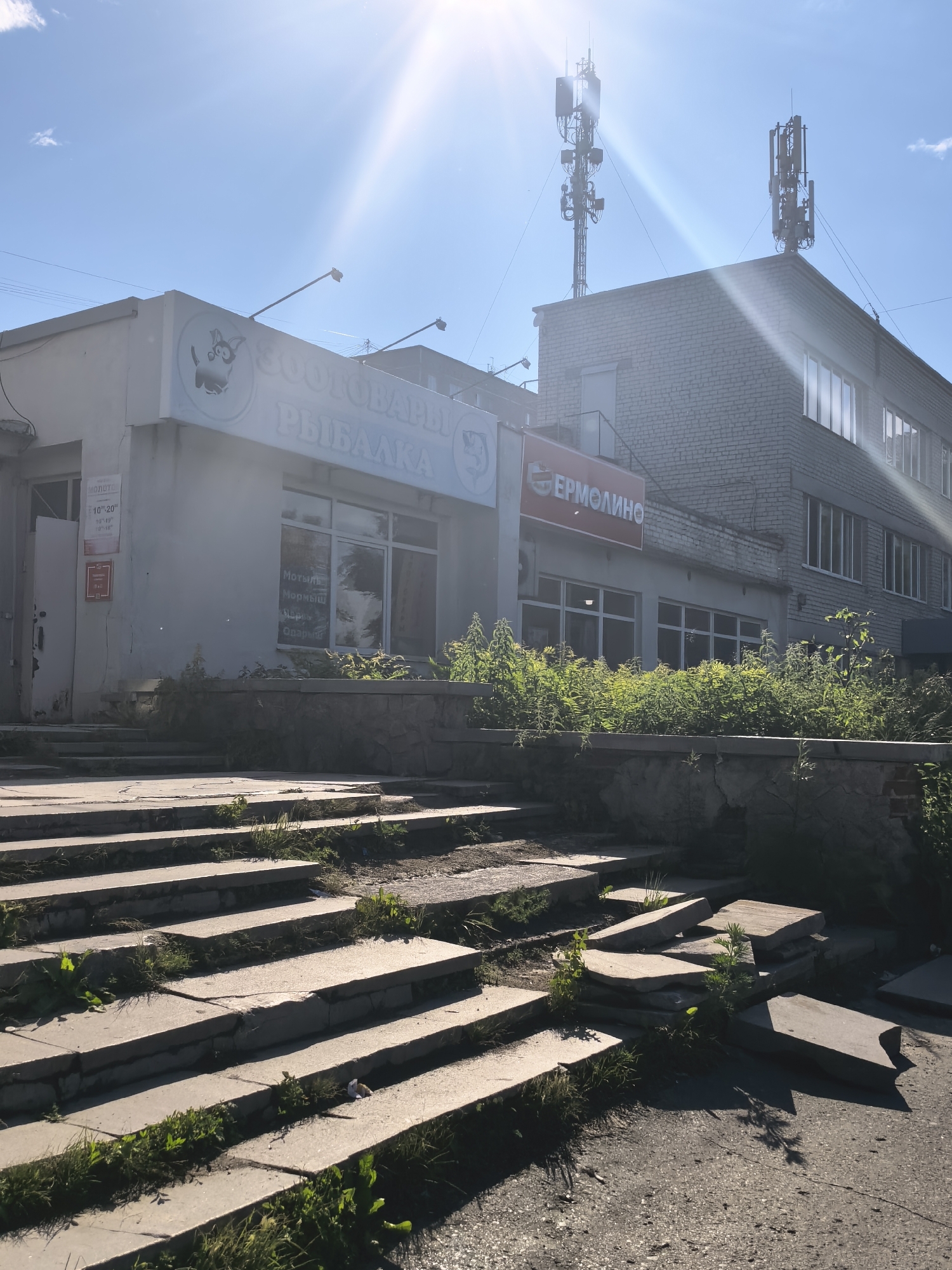 The image shows the exterior of a commercial building on a sunny day. The building has a light-colored facade with a sign that reads "ЗОOTOBAPЫ РЫБАЛКА" (Pet Supplies Fishing) with a cartoon dog icon. Another sign on the building says "ЕРМОЛИНО" (Ermolino) with a logo. The building has several windows, and some vegetation is growing in front of it. In the foreground, there is a set of concrete stairs leading up to the building, some of which are cracked and overgrown with grass. In the background, there are two tall communication towers on top of another building. The sun is shining brightly, casting strong shadows and creating lens flare. The sky is blue with some clouds. The time of day appears to be late morning or early afternoon. The overall scene suggests a commercial area in a moderately urban or suburban setting. There is no visible activity or people in the image.