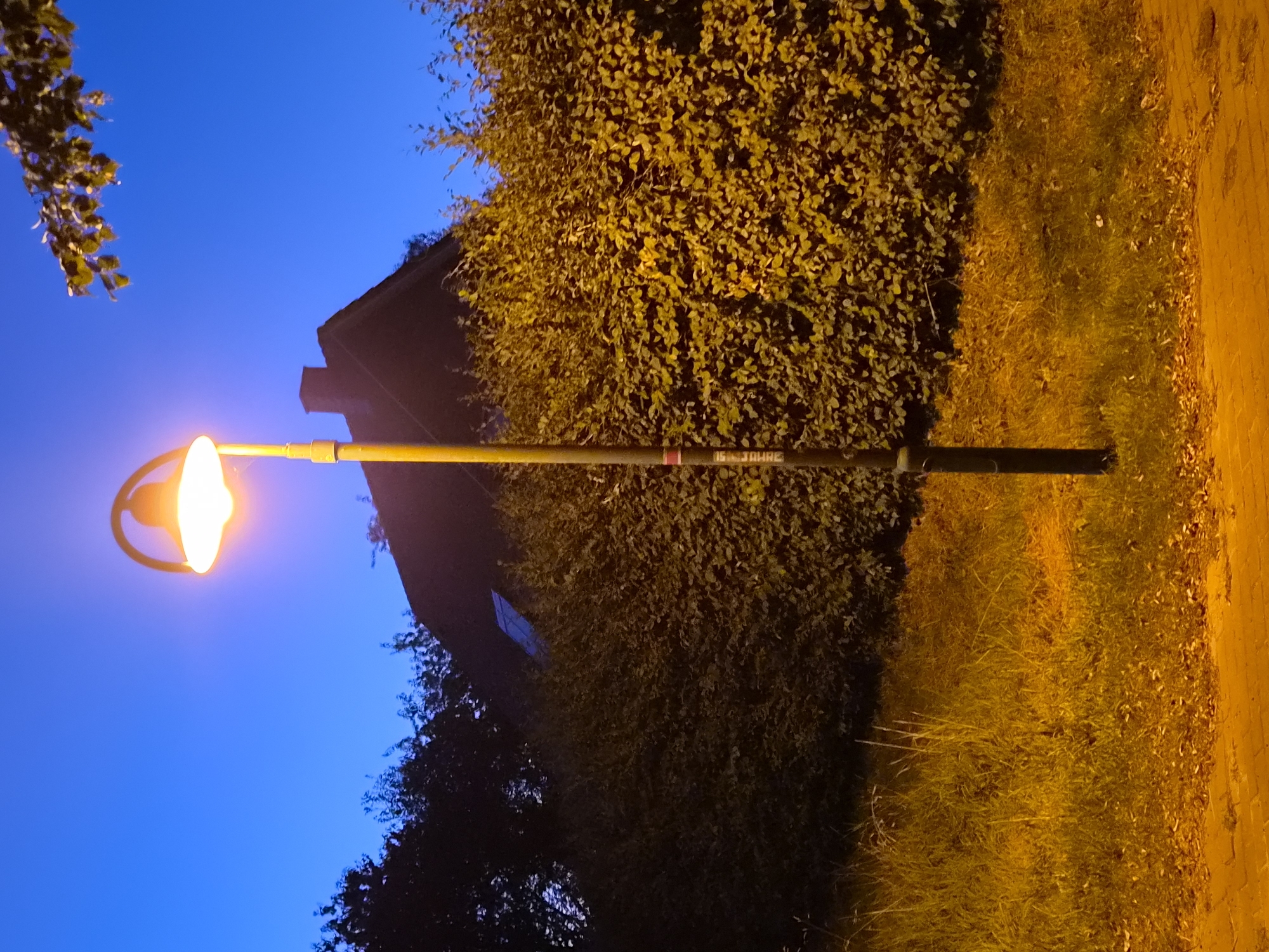 An outdoor, low-angle shot captures a lit streetlamp in the foreground, casting a warm, orange glow. The lamp is positioned centrally and vertically in the frame, with its arched top and illuminated shade prominently visible. Behind the lamp, a dense, green hedge fills the middle ground, extending across the width of the image. Above the hedge, the dark silhouette of a house with a chimney is discernible against the deep blue evening sky. To the left of the house, dark trees are visible, and to the right, a branch with leaves hangs down from the top edge of the frame. The ground in the foreground consists of dry grass and scattered leaves, illuminated by the streetlamp's light, with a paved surface at the very bottom. The overall scene suggests an urban or suburban environment at dusk or after dark.