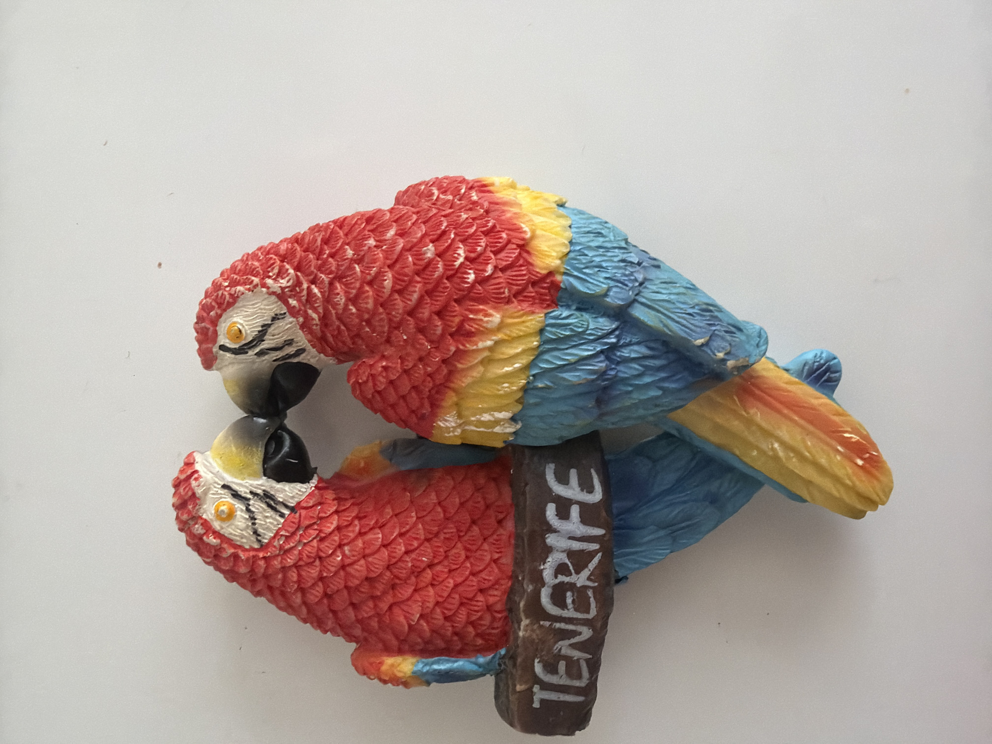 A souvenir depicting two macaws perched on a branch with "TENERIFE" written on it, is mounted on a white wall. The macaws are red, yellow, and blue. The souvenir is positioned to the left of the frame. There are no people or any other objects visible in the image. The image does not provide any information about the city of Duisburg, Germany.