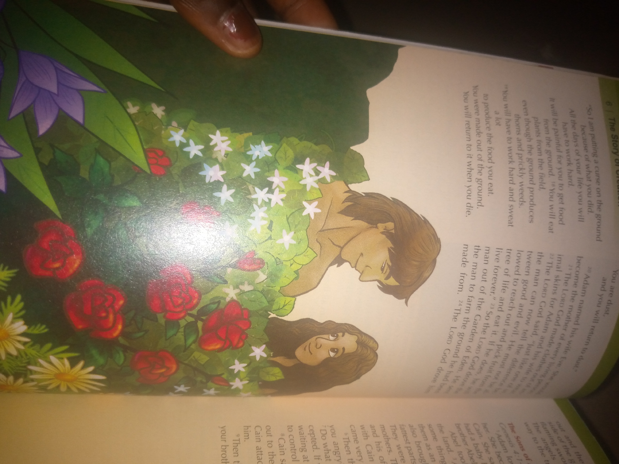 The image displays an illustration of Adam and Eve surrounded by flowers and foliage. Adam is depicted on the right, looking towards the left, while Eve is positioned on the left, gazing upwards. Both figures appear to be in a garden setting. The illustration is part of a book, with text visible on the right side of the image. The text is in English and appears to be a religious or historical narrative. There is no discernible information about the city of Jauro Yinu, Nigeria, or any other specific geographic location within the image or its accompanying context. The image is a close-up shot, and the top edge of the book is visible with a person's hand and finger.