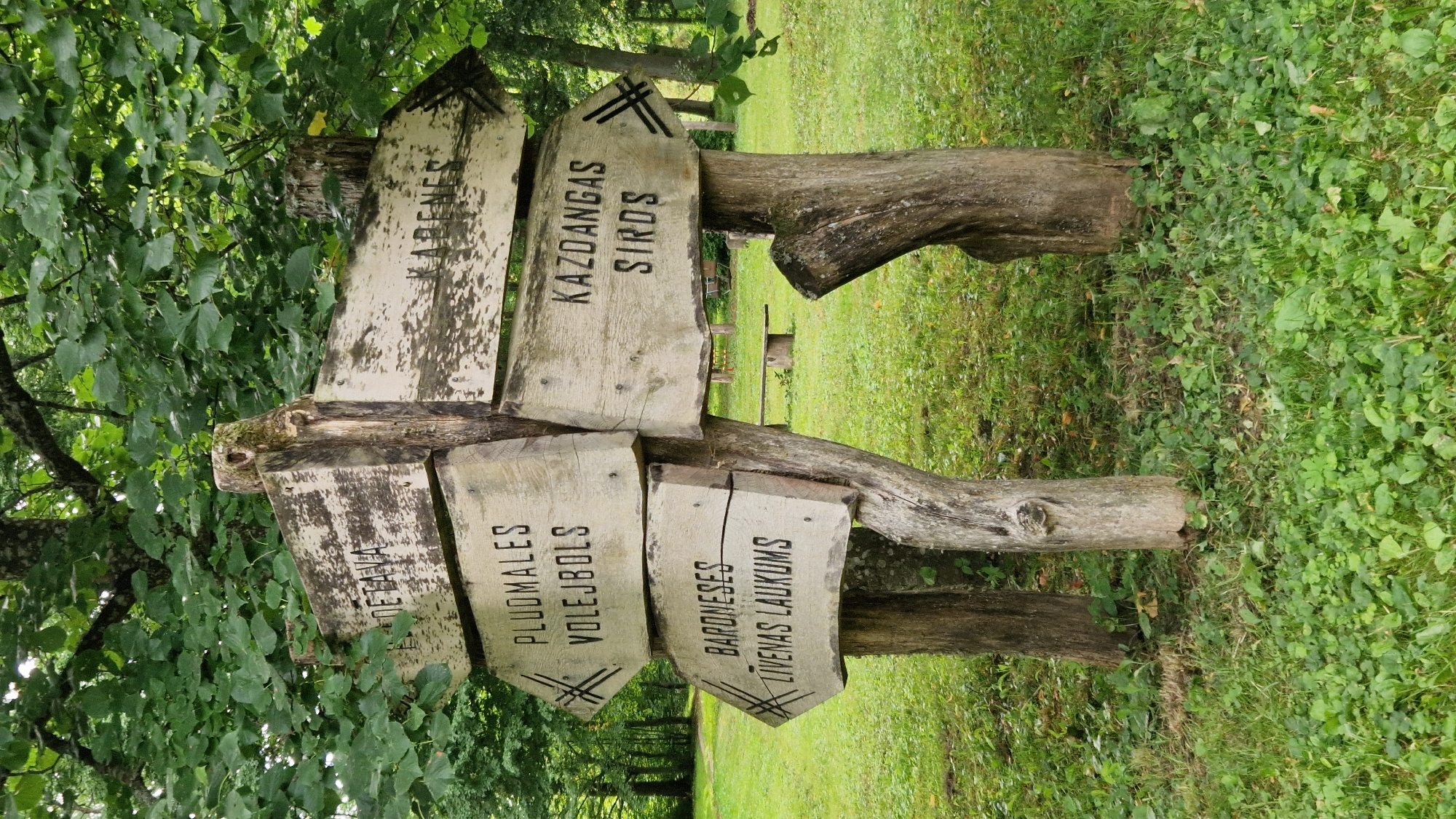 This image shows a weathered wooden directional signpost in Kazdanga, Latvia, surrounded by lush green grass and trees. The signpost is made of rough-hewn wood and has several planks attached at different angles, each with hand-painted text. The text on the signs, which appear to be in Latvian, indicates different destinations. One sign points left and reads "PLUOMALES VOLEJBOLS", another points left and below it reads "BARONESES LĪVENAS LAUKUMS". On the right side, one sign points right and reads "KARENES", and another below it reads "KAZDANGAS SIRDS". The wood of the signpost is aged and shows signs of wear, with peeling paint and visible grain. The environment is natural and appears to be a park or forest area, with sunlight filtering through the leaves of the trees. In the background, a wooden bench and table are partially visible, suggesting a recreational area. There are no people visible in the image. The overall impression is one of a rustic, natural setting with clear directional guidance to various points of interest.