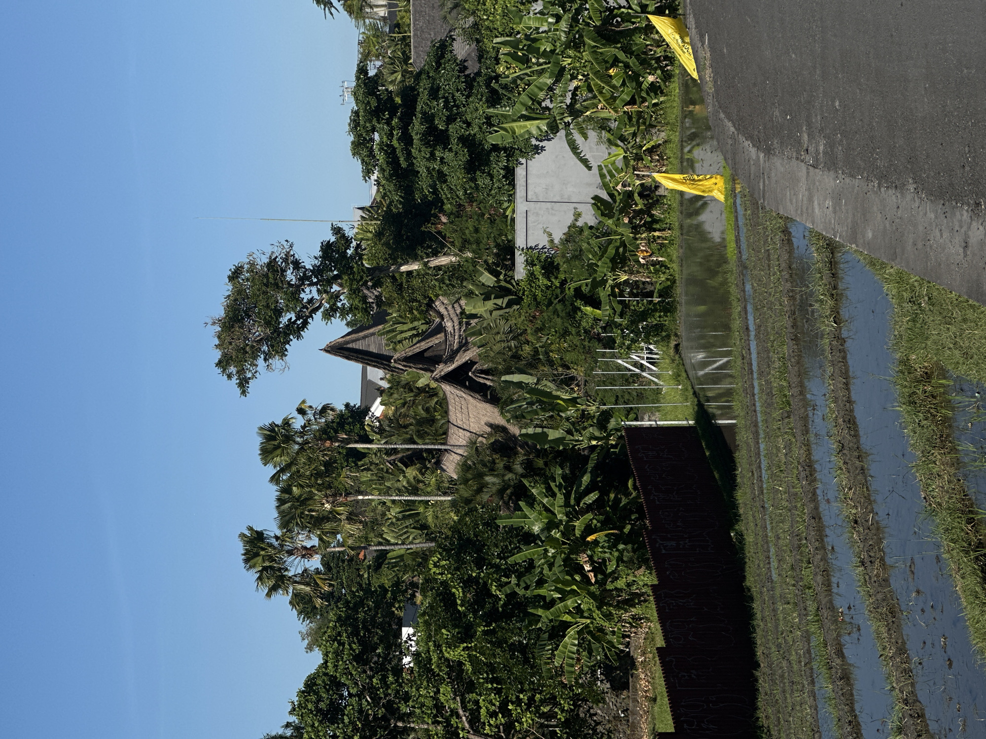 The image shows a scene in North Kuta, Indonesia. A flooded rice paddy field borders a paved road. Lush tropical vegetation, including palm trees, banana trees, and other greenery, lines the road. A traditional Balinese-style building with a thatched roof is visible amongst the trees. Yellow flags are placed along the roadside. The sky is clear and blue.