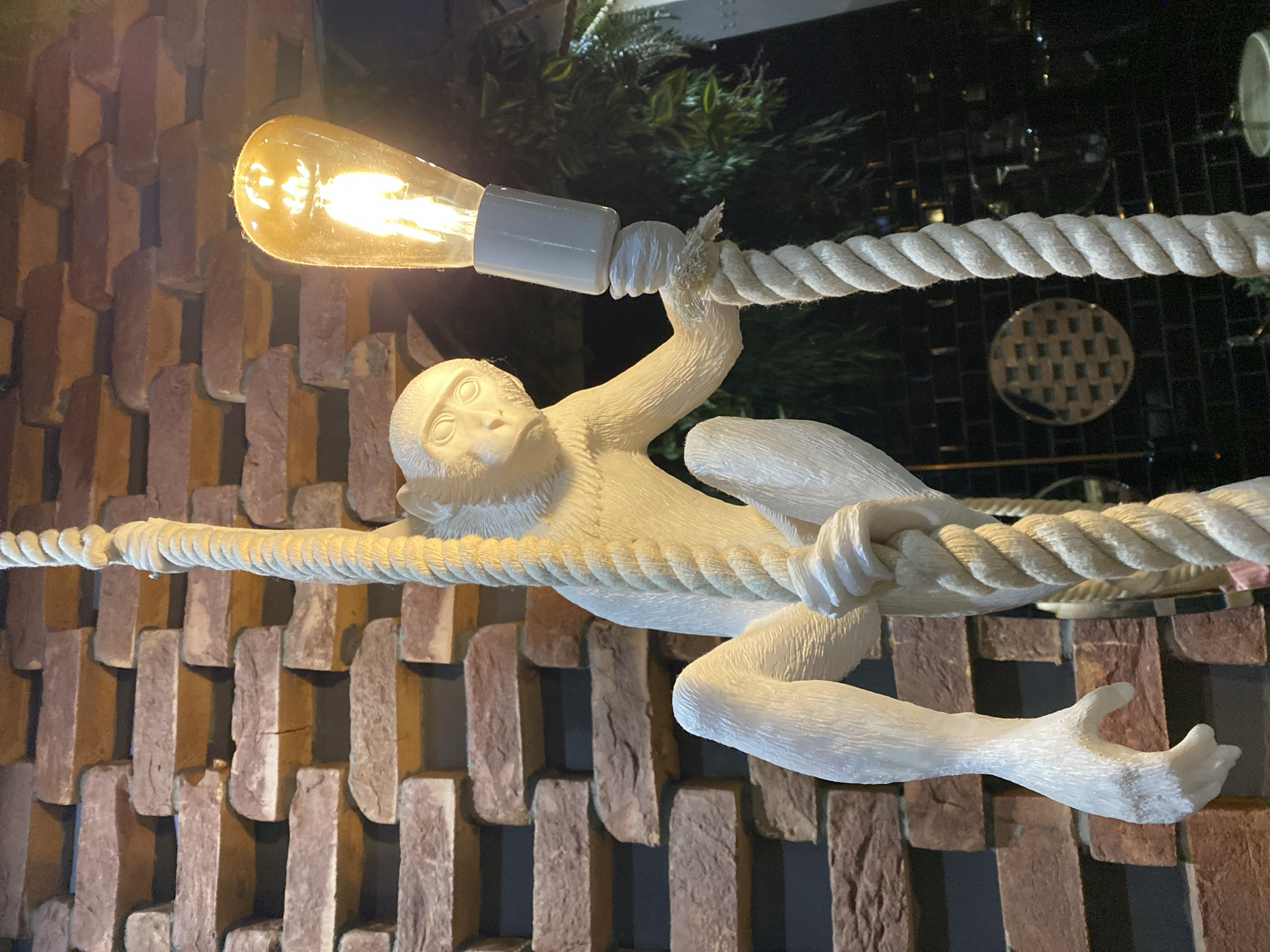 A low-angle, interior shot depicts a decorative, illuminated monkey statue. The statue is white and appears to be made of ceramic or plaster. It is sculpted to resemble a monkey hanging from a thick, white rope. The monkey's left arm is extended, grasping the rope that extends horizontally across the image. In its right hand, it appears to hold an Edison-style lightbulb.
The background behind the rope and monkey is divided into two distinct sections. To the left, there is a decorative wall made of stacked, uneven bricks, which appear to be reddish-brown or terracotta in color. To the right, the background is a darker, possibly black, tile wall, with a circular, reflective object or tile pattern visible.
No people are visible in the image.
The monkey is the central object, acting as a decorative light fixture, blending art and functionality.
This image is taken indoors, possibly in a restaurant or bar in Yekaterinburg, Russia.