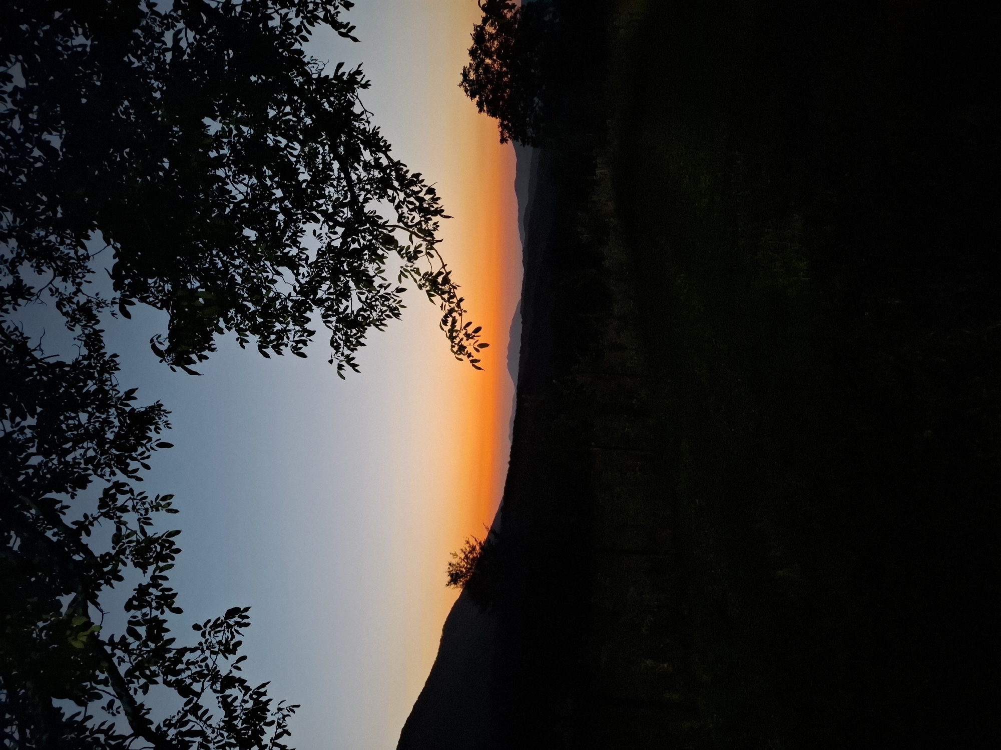 This is a silhouette photograph of a landscape at dusk. In the foreground, dark foliage from trees hangs over the top of the frame. The middle ground features the dark silhouette of a hill or mountain range. Beyond this, a vibrant band of orange and yellow light streaks across the horizon, marking the sunset. Further in the distance, layered mountain ranges fade into a soft blue and grey sky. The overall scene is tranquil and atmospheric, dominated by dark silhouettes against a colorful sky. There are no people or specific identifiable structures visible in the image. The location is identified as Sel'mentauzen, Russia.