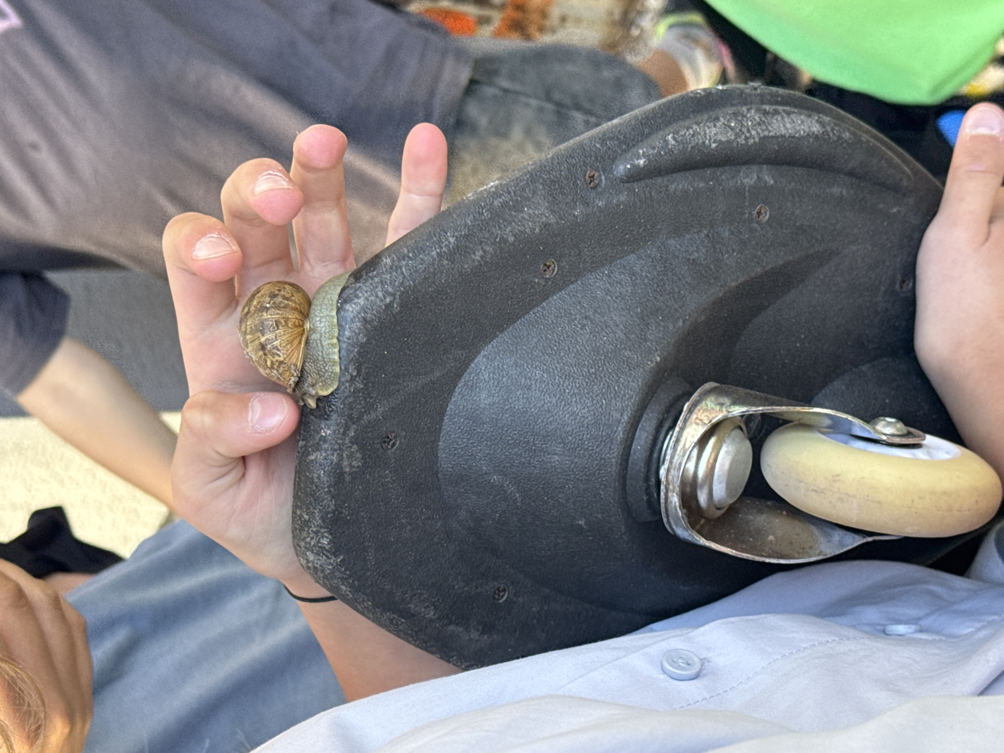 A child is holding a black scooter deck in their hands, with a snail on their left hand. The deck has metal roller skate trucks and a dirty white wheel. The child is wearing a light blue button down shirt. A person in gray clothing is behind the child. The location is outdoors. It is unclear if the location is in Bar, Montenegro.