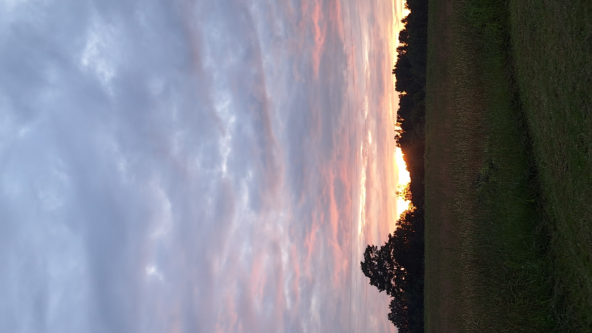 The image depicts a sunset scene over a rural landscape in Unknown, Latvia. The sky is filled with clouds, tinged with hues of pink and orange from the setting sun. A line of trees forms a silhouette against the bright horizon, with the sun partially visible behind them. In the foreground, a field of tall grass stretches across the frame, with a strip of mown grass in the lower portion. There are no people or animals visible in the image. The overall impression is one of tranquility and natural beauty.