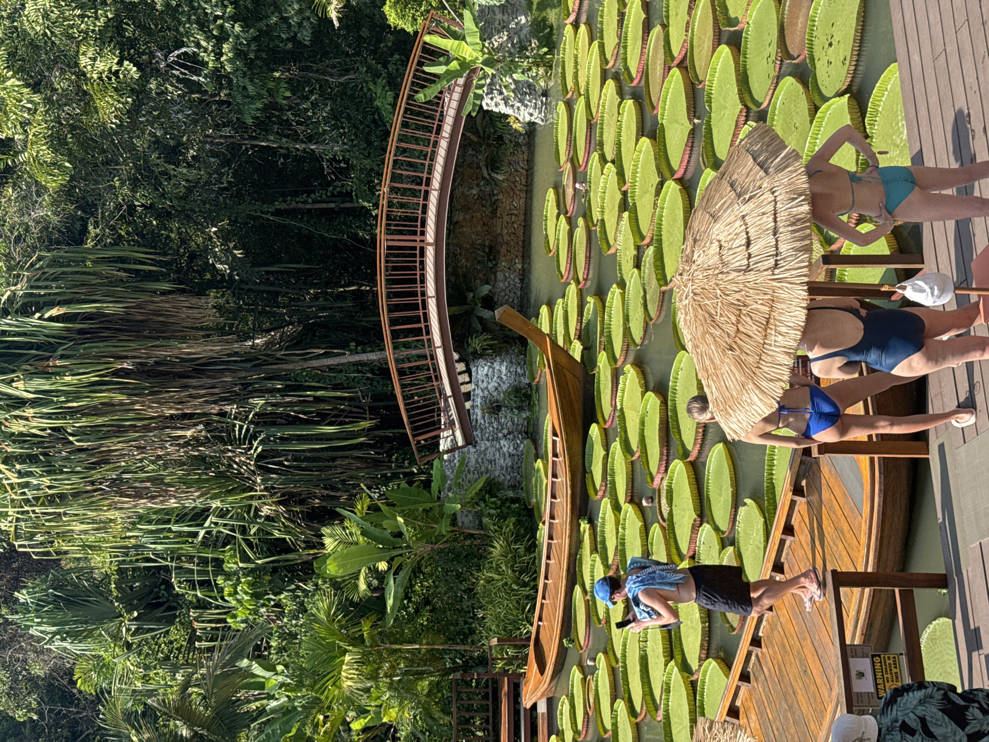The image shows a scene at the Baan Mae Kampong tourist location in Ban Khlong Khian, Thailand. A pond filled with giant water lilies dominates the center of the image. Several tourists are interacting with the pond area, with one man standing in a long wooden boat, using a phone, and three women standing on a wooden deck near the lilies, one of whom is holding a straw umbrella. A metal bridge arching over a rocky edge of the pond is visible in the upper left. Lush green vegetation surrounds the pond, filling the rest of the background of the image. A sign reading "WARNING" is visible on the wooden deck.