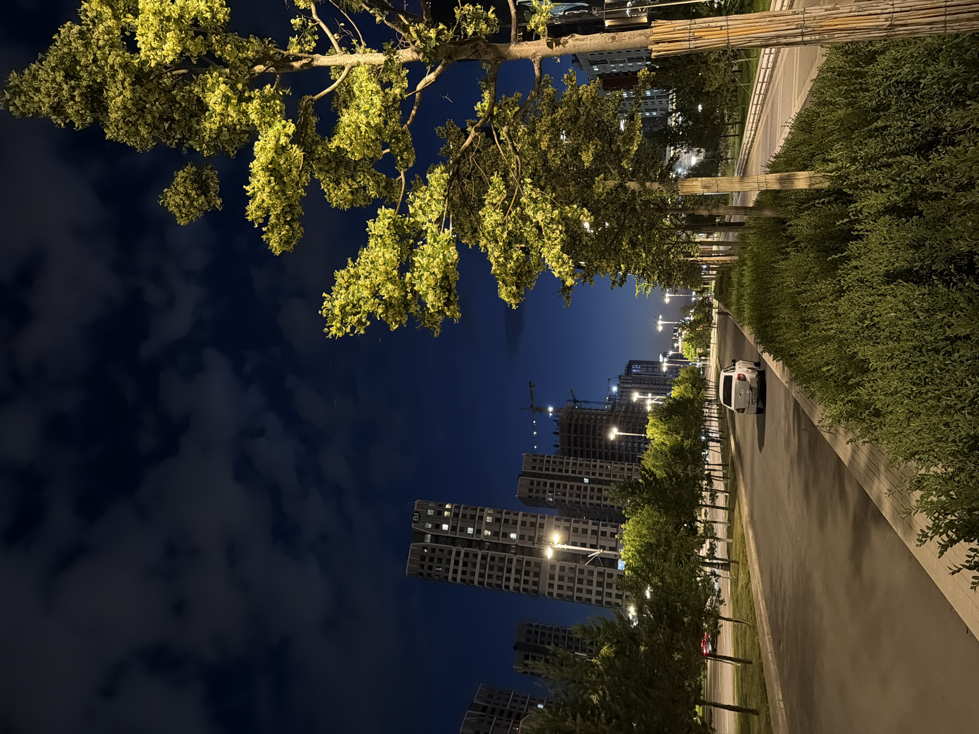 This is a night-time, outdoor, vertical, wide shot of a street scene in Astana, Kazakhstan. The sky is a deep blue, with scattered clouds. On the right side of the image, a large tree with yellow-green leaves is illuminated. The street itself is paved, with a white car parked on the right side. A line of trees with green foliage borders the left side of the street, and beyond them, several tall, modern buildings are visible. The buildings appear to be under construction, with cranes and unfinished sections. Streetlights are visible along the road, casting pools of light. The overall impression is of a developing urban area at night.