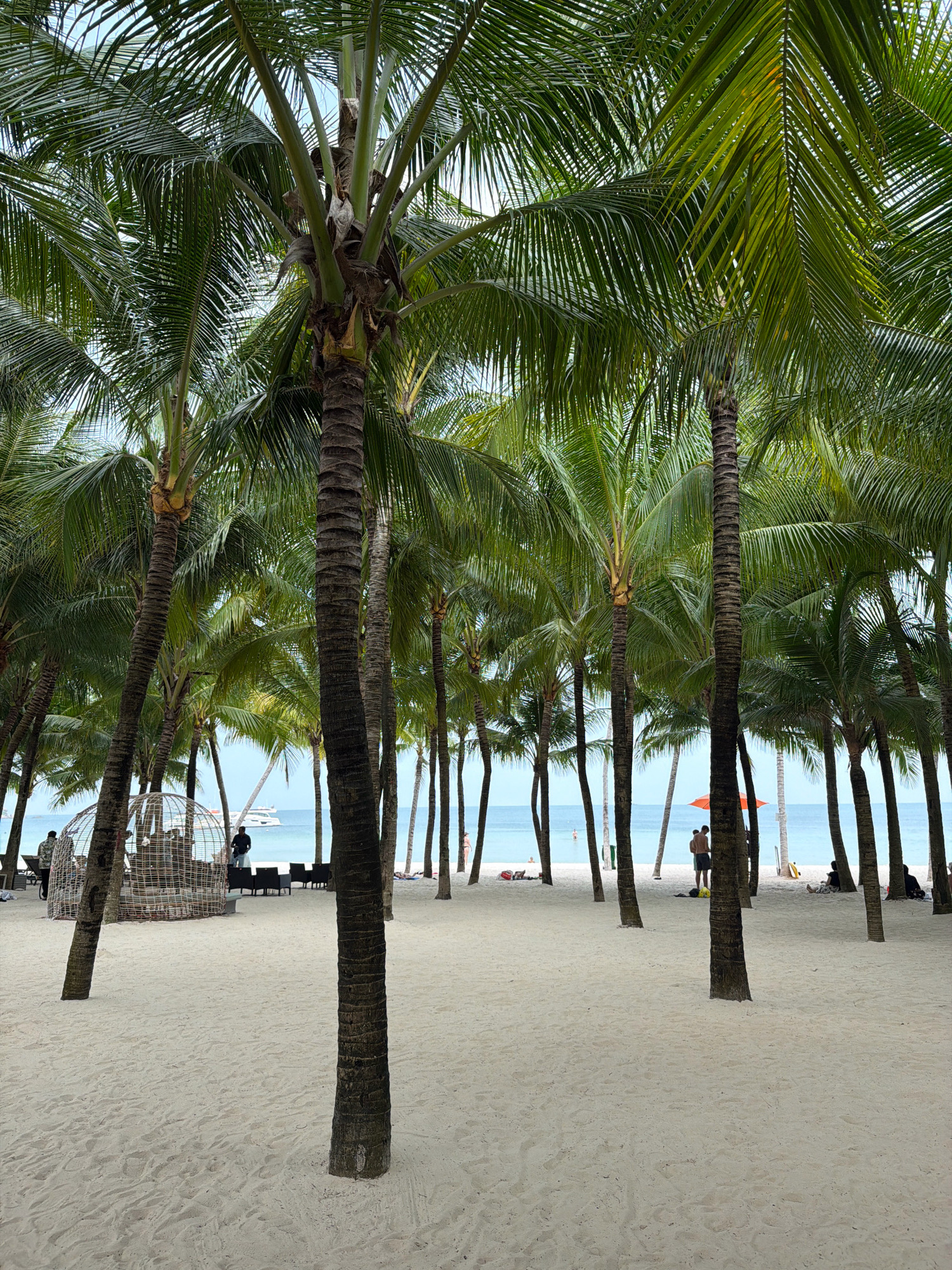 The image depicts a tropical beach scene in Phu Quoc, Vietnam, characterized by a dense line of palm trees framing a white sand beach. The foreground is dominated by the sandy ground, with several palm tree trunks prominently visible. In the midground, the sand gives way to the ocean, with calm, light blue water stretching to the horizon. A few people are scattered on the beach, some lounging and others walking.
More specifically, on the left side of the midground, there is a large, spherical, woven structure that appears to be a seating area or a decorative element, with a few people near it. Further out in the water, a white boat or yacht is visible. Towards the right side of the midground, two men are standing near an orange umbrella. The background is the expanse of the sea and the sky, which is overcast. The overall impression is one of a serene, tropical resort environment.
