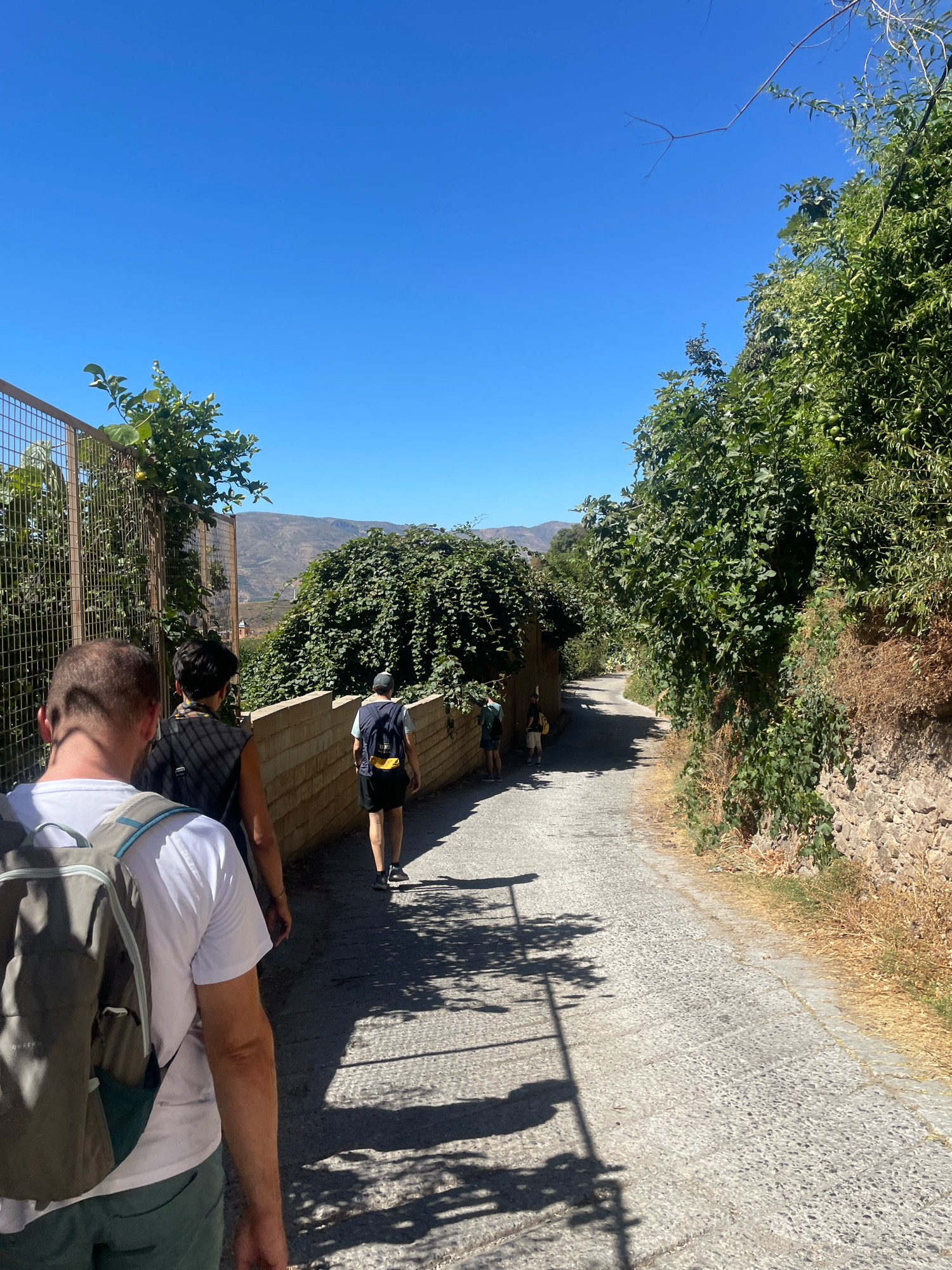 The image depicts a group of four individuals walking along a narrow, paved pathway in a rural or semi-rural setting, likely in the city of Lanjarón, Spain, given the architectural style and vegetation. The path is bordered on the left by a fence with lush green foliage and a low stone wall. On the right, a steep, overgrown embankment rises, covered in dense green vegetation and dry grasses, with a stone retaining wall at its base. The pathway itself is made of cobblestones or rough pavers and is partially shaded by tree shadows.
In the foreground, the back of a person wearing a white t-shirt and a grey backpack is visible, facing away from the camera. Behind them, two other individuals, one in a dark vest and the other in a backpack and a light-colored shirt, are also walking along the path. Further ahead, a fourth person, seen from behind, is walking with a backpack. In the background, rolling hills and distant mountains are visible under a clear, bright blue sky. The overall impression is of a leisurely walk on a sunny day through a vegetated area with a distinctly Mediterranean feel.