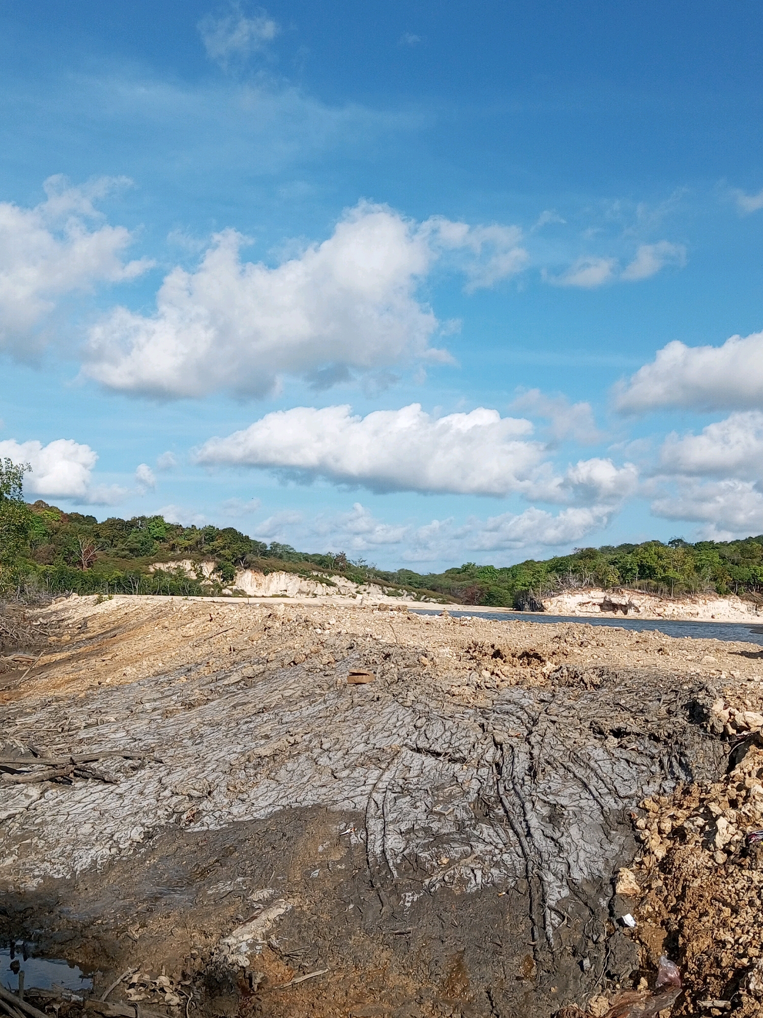 This is a vertical, eye-level, full shot of a coastal landscape under a bright, cloudy sky. In the foreground, the ground is a mixture of dry, cracked mud and rocky debris, with some scattered twigs and leaves. Further back, the terrain rises to a sandy slope dotted with vegetation and trees. A body of water is visible beyond this slope, and on the horizon, a line of lush green trees creates a natural barrier. The sky is a vivid blue, populated with numerous fluffy white clouds. The scene appears to be an undeveloped natural area.