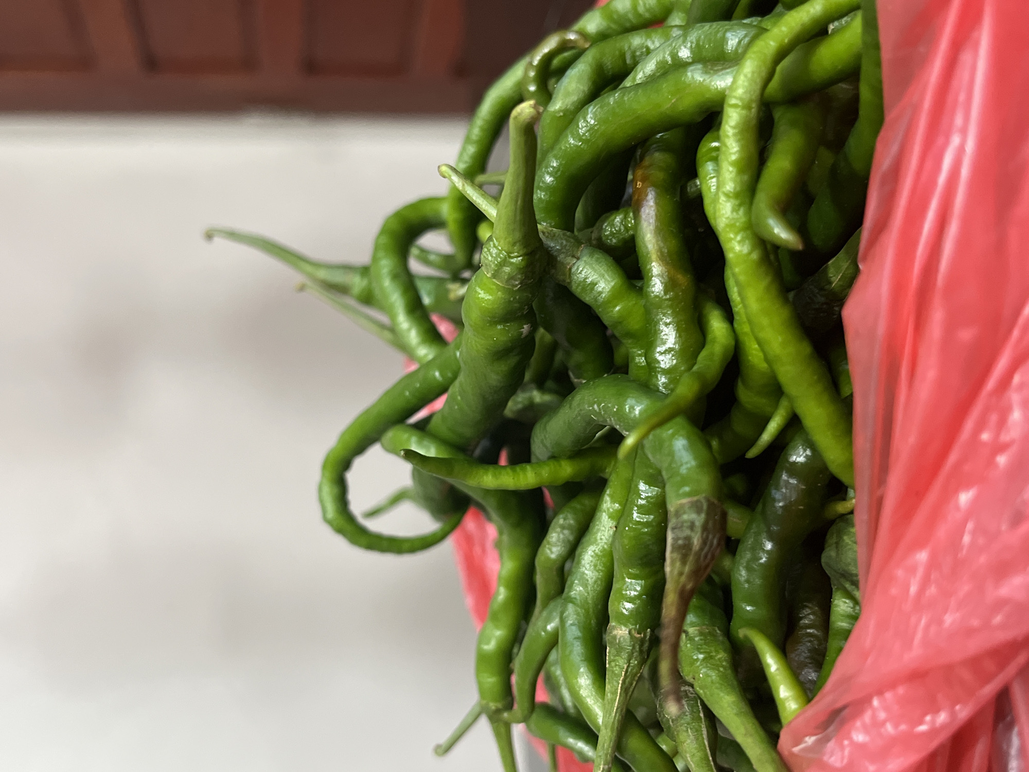 A close-up, waist-level shot showcases a vibrant pile of fresh green chili peppers spilling out of a bright red plastic bag. The peppers are long and slender, with some curving dramatically, and their glossy skins reflect the light. The background is softly blurred, revealing a plain, light-colored wall on the left and a hint of dark wood paneling on the right, suggesting an indoor setting. The overall impression is of a recent harvest or a busy market stall. There are no people or animals visible in the frame, and the focus is entirely on the produce. The image does not provide any specific indicators to pinpoint its location in Teluk Air, Indonesia.