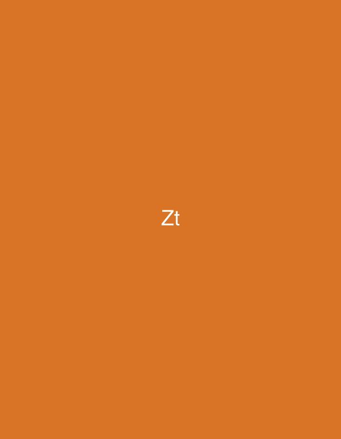 The image displays a solid, uniform orange-brown background. Centered on this background is the white, sans-serif text "Zt." No other elements, such as individuals, objects, actions, interactions, or discernible environmental details, are present. The image contains no visual information that indicates a specific geographic location, including Casablanca, Morocco.