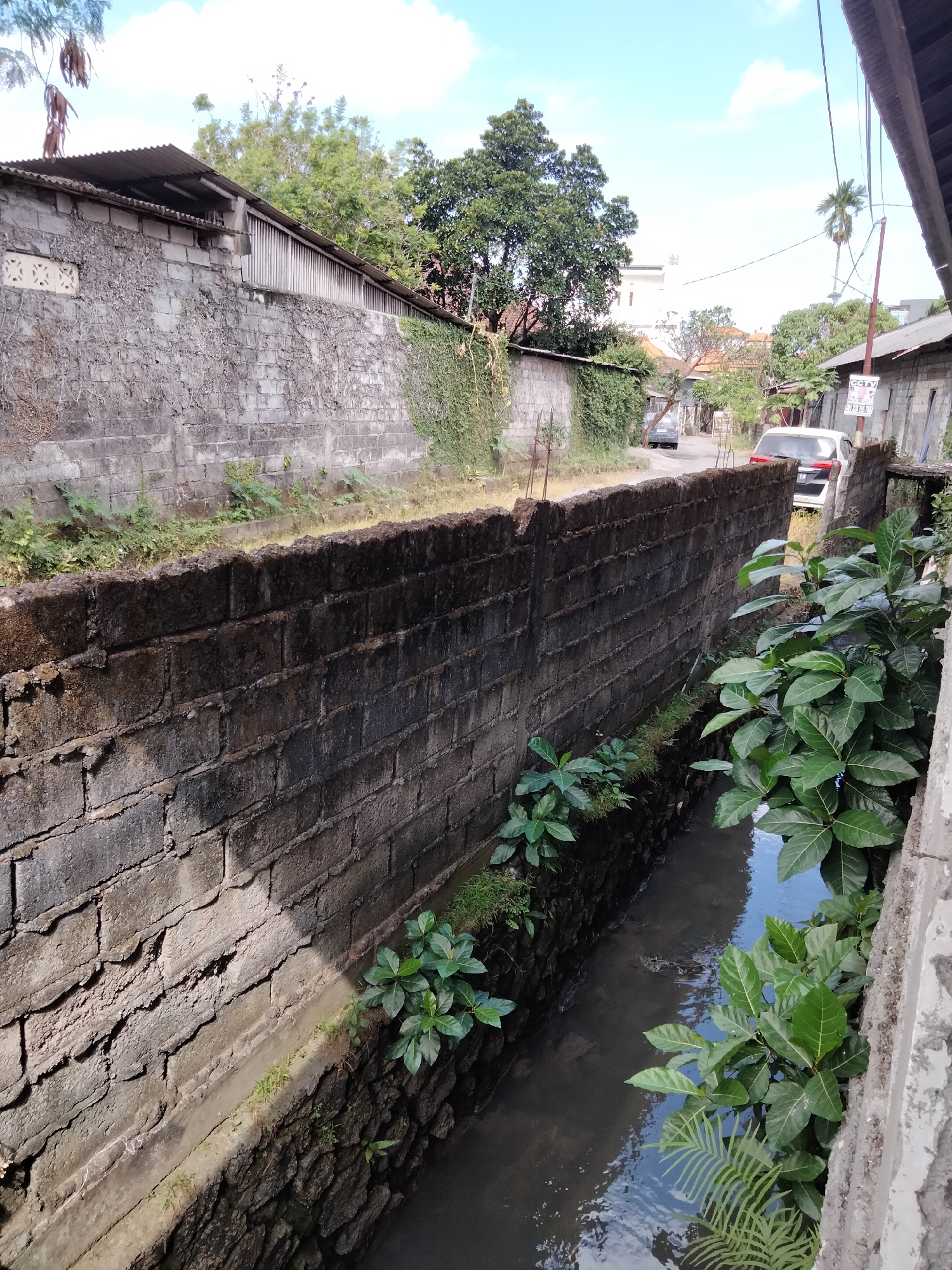 This image depicts a narrow, open-air drainage channel running alongside a textured, grey brick wall. The channel, filled with dark, murky water, is partially obscured by lush green foliage that grows along its banks and the wall. The wall itself appears weathered, with some sections covered in creeping vines. Beyond the wall, a dirt path or narrow road is visible, with a few vehicles parked along it, including a white car and a darker car. In the background, a mixture of buildings and trees are present, suggesting a residential or semi-urban environment. A sign displaying "CCTV" is mounted on a pole on the right side of the image, indicating surveillance in the area. The sky above is blue with scattered white clouds. This scene is located in the city of Denpasar, Indonesia, likely in a residential or less developed urban area where such open drainage systems are common.