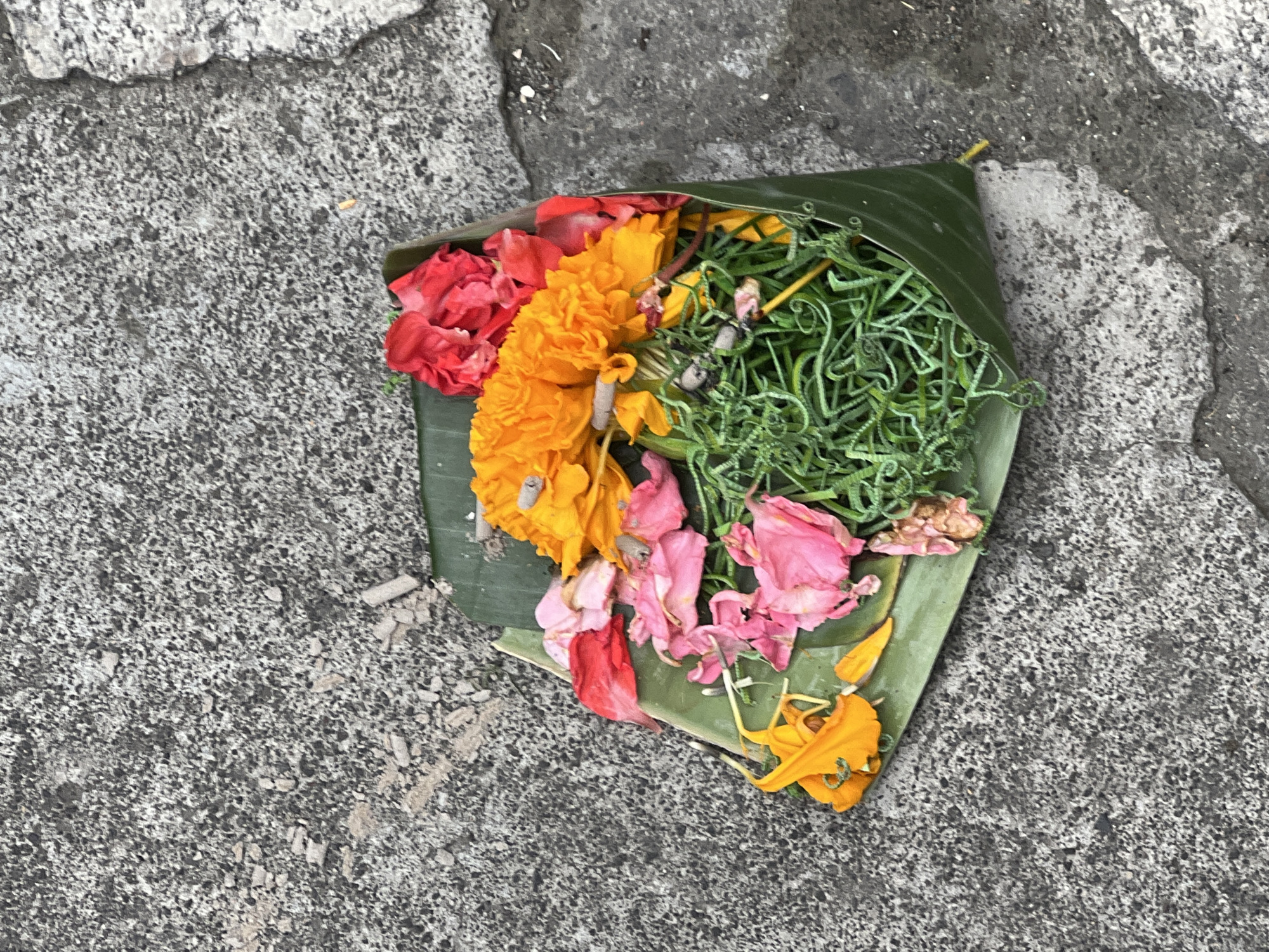 A collection of flowers and greenery, arranged in a banana leaf cone, rests on a textured, gray concrete surface. The flowers are primarily vibrant orange and pink, with some red petals scattered amongst them. A bundle of thin, green, curly grass-like vegetation forms a significant portion of the arrangement. The concrete surface shows signs of wear, with lighter colored patches and a visible seam on the right side of the frame. The scene appears to be an outdoor setting, possibly a street or walkway in Denpasar, Indonesia, given the common practice of offering flowers and traditional arrangements in such locations. There are no people or animals visible in the image.