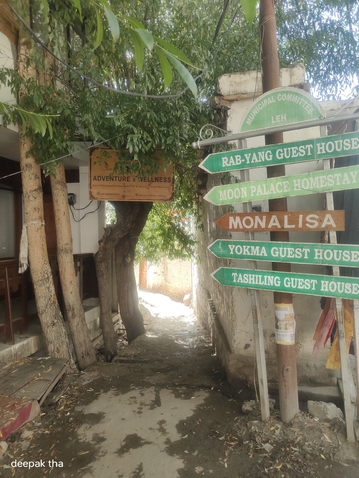 The image captures a narrow, outdoor pathway in Leh, India, lined with trees and an old stone wall. On the left, a sign for "ADVENTURE X WELLNESS" is displayed on a wooden plank, with contact information and a website listed. The pathway appears to be a common area or alleyway, with uneven ground covered in dirt and fallen leaves. Several wooden posts are visible, one of which holds a series of directional signs pointing to various guest houses and "MONALISA." The overall scene suggests a residential or tourist area in Leh, characterized by its rustic charm and local signage.