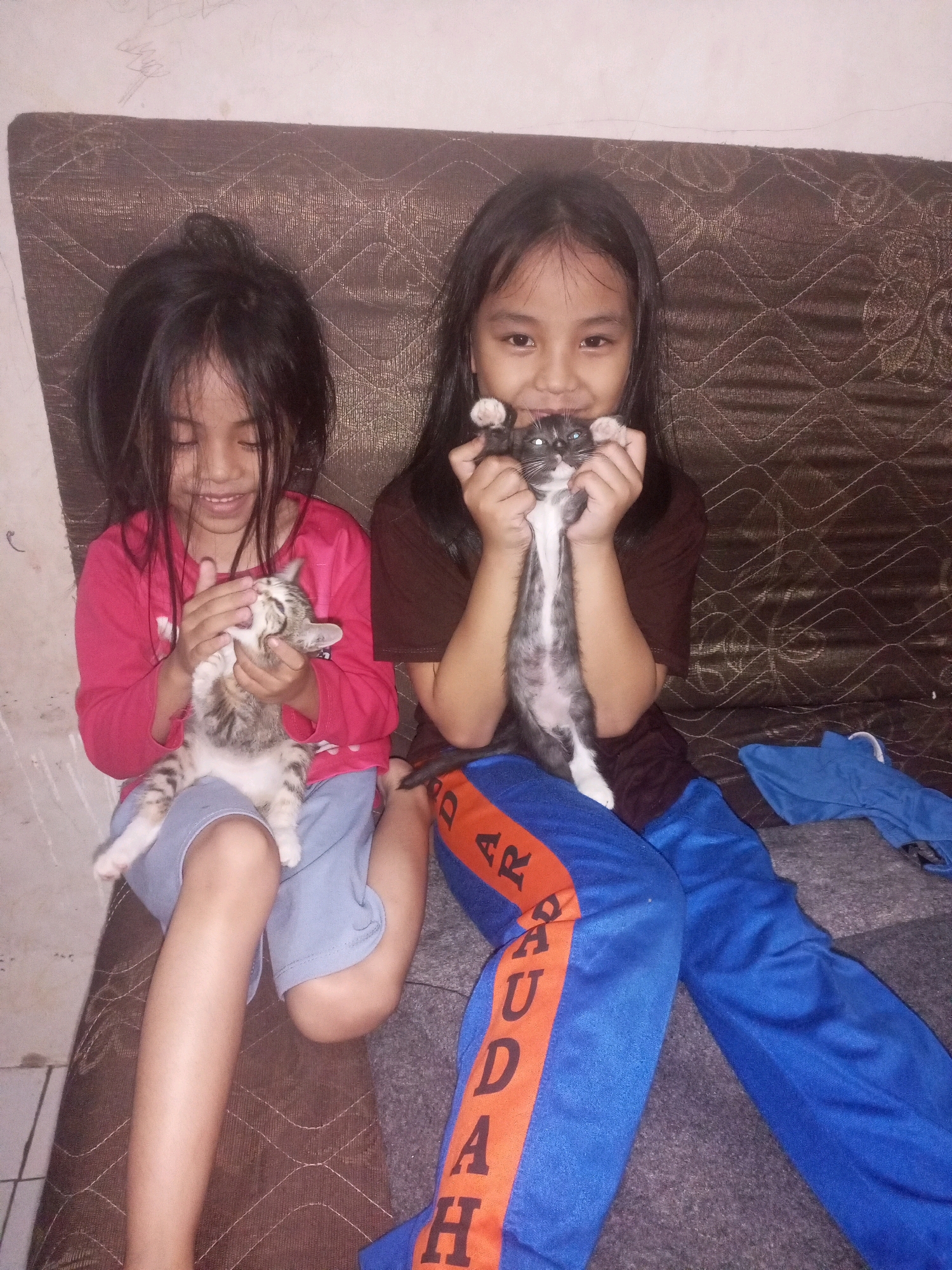 Two young Indonesian girls are seated on a patterned brown sofa. The girl on the left, wearing a pink long-sleeved shirt and blue shorts, is smiling and holding a tabby kitten, which is looking up at her with its mouth open. The girl on the right, wearing a brown shirt and blue pants with an orange stripe, is smiling and holding a grey and white kitten in front of her face, with its paws raised. The background appears to be an indoor setting with a light-colored wall. The sofa has a diamond-shaped pattern. A blue piece of fabric is visible on the right side of the image. The overall scene depicts a moment of playful interaction between the girls and the kittens.