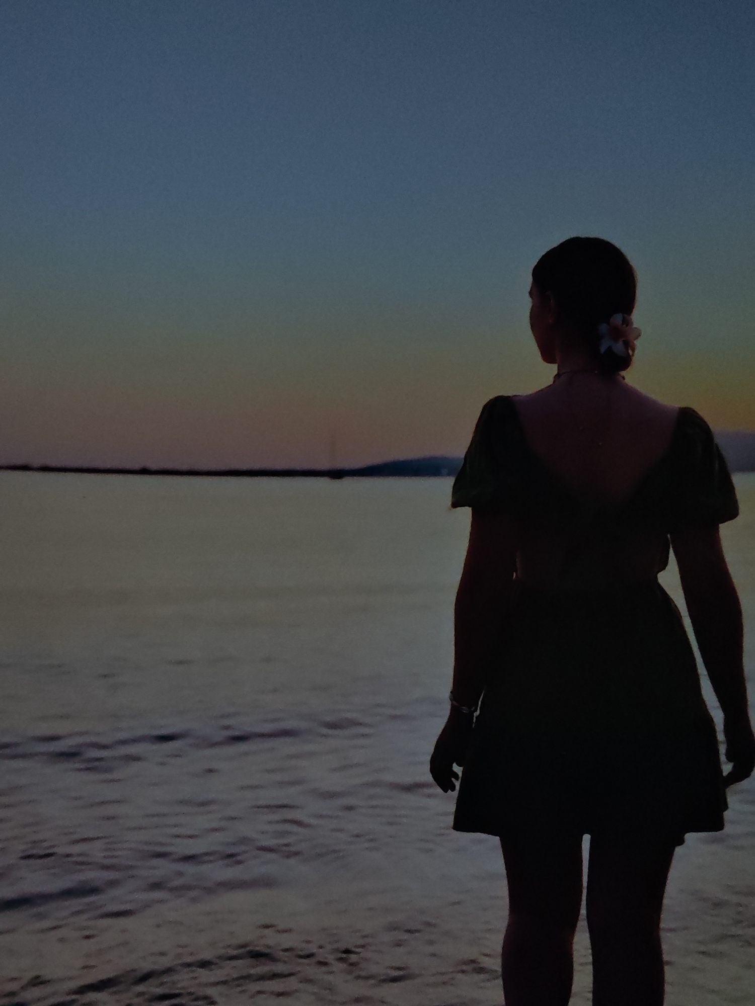 The media file shows a full-body, back view silhouette of a person standing near the water during dusk. The person appears to be female, with dark hair pulled back and a flower accessory in her hair. She is wearing a short, dark dress with puff sleeves. Her arms are down by her sides, and she is looking out at the water and the horizon.
The scene is a body of water, likely the sea or a large lake, with a faint landmass visible in the distance. The sky is a gradient of colors typical of sunset or twilight, transitioning from a pale orange and yellow near the horizon to a deep blue at the top of the frame. The water is calm with small ripples.
The time of day is clearly dusk, as indicated by the sky's colors and the silhouette effect. The weather appears to be clear and calm. The overall mood is tranquil and contemplative, with the lone figure gazing into the distance as day transitions to night. There is no visible text in the media file.