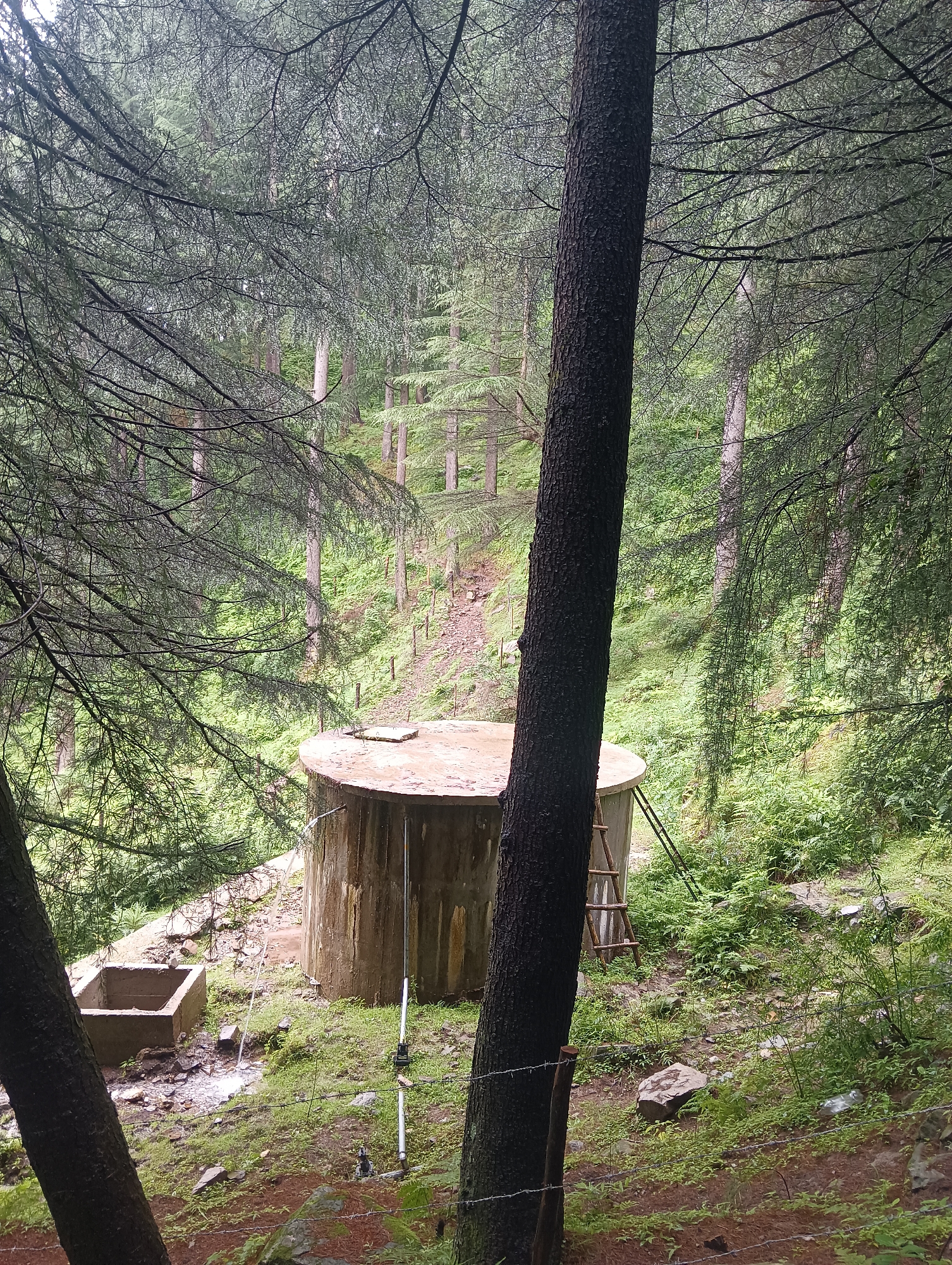 The image depicts a concrete water tank with a brown, circular lid, situated on a sloped, wooded terrain. A wooden ladder leans against the tank. To the left of the tank, there is a small, square concrete structure with water flowing into it. The surrounding environment is dense with trees, predominantly pines, and undergrowth of ferns and other green vegetation. The ground is covered with moss, rocks, and some dried leaves. In the foreground, a thick tree trunk is visible on the left, and barbed wire fencing runs horizontally across the lower part of the image. The overall scene suggests a remote, possibly rural or forested area. The image is undated and does not contain any people.