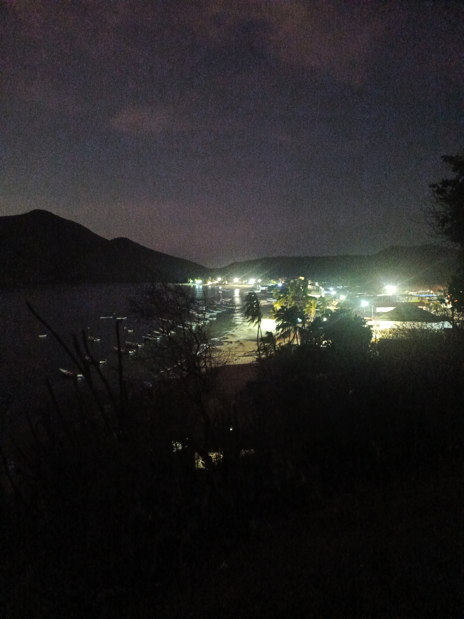 The image shows a nighttime view of Juan Griego, Venezuela, from an elevated position. The scene encompasses a bay with several boats anchored offshore. Mountains frame the bay to the left, while the town itself is illuminated by streetlights and building lights along the beach. Palm trees are visible in the central area. The foreground is dominated by dark foliage, obscuring the ground.