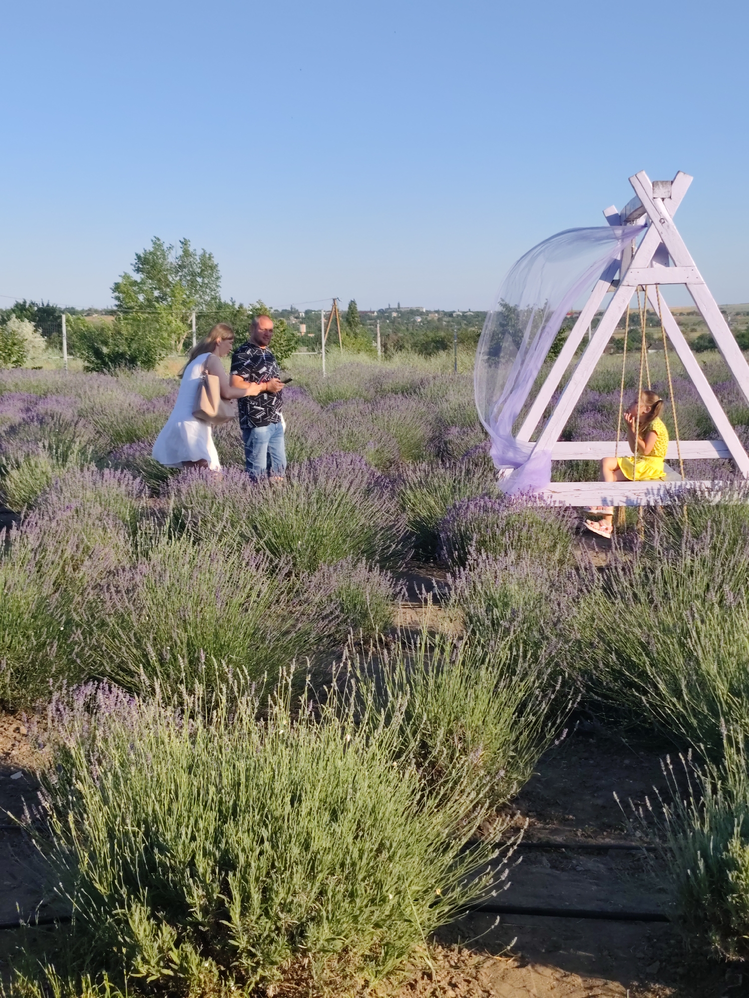 In a lavender field under a clear blue sky, a girl in a yellow dress sits on a wooden swing decorated with purple fabric. Nearby, a couple stands amidst the lavender, seemingly taking a break or posing for photos. The man, wearing a patterned t-shirt and jeans, holds a phone. The woman, in a white dress, carries a light-colored handbag. The scene appears to be set during a warm, sunny day, likely in the late afternoon or early evening given the quality of light. The rows of vibrant lavender bushes suggest a rural setting, possibly a tourist attraction or a farm. The overall atmosphere is peaceful and serene, with the natural beauty of the lavender field and the simple interactions of the people creating a pleasant visual. There is no visible text in the image.