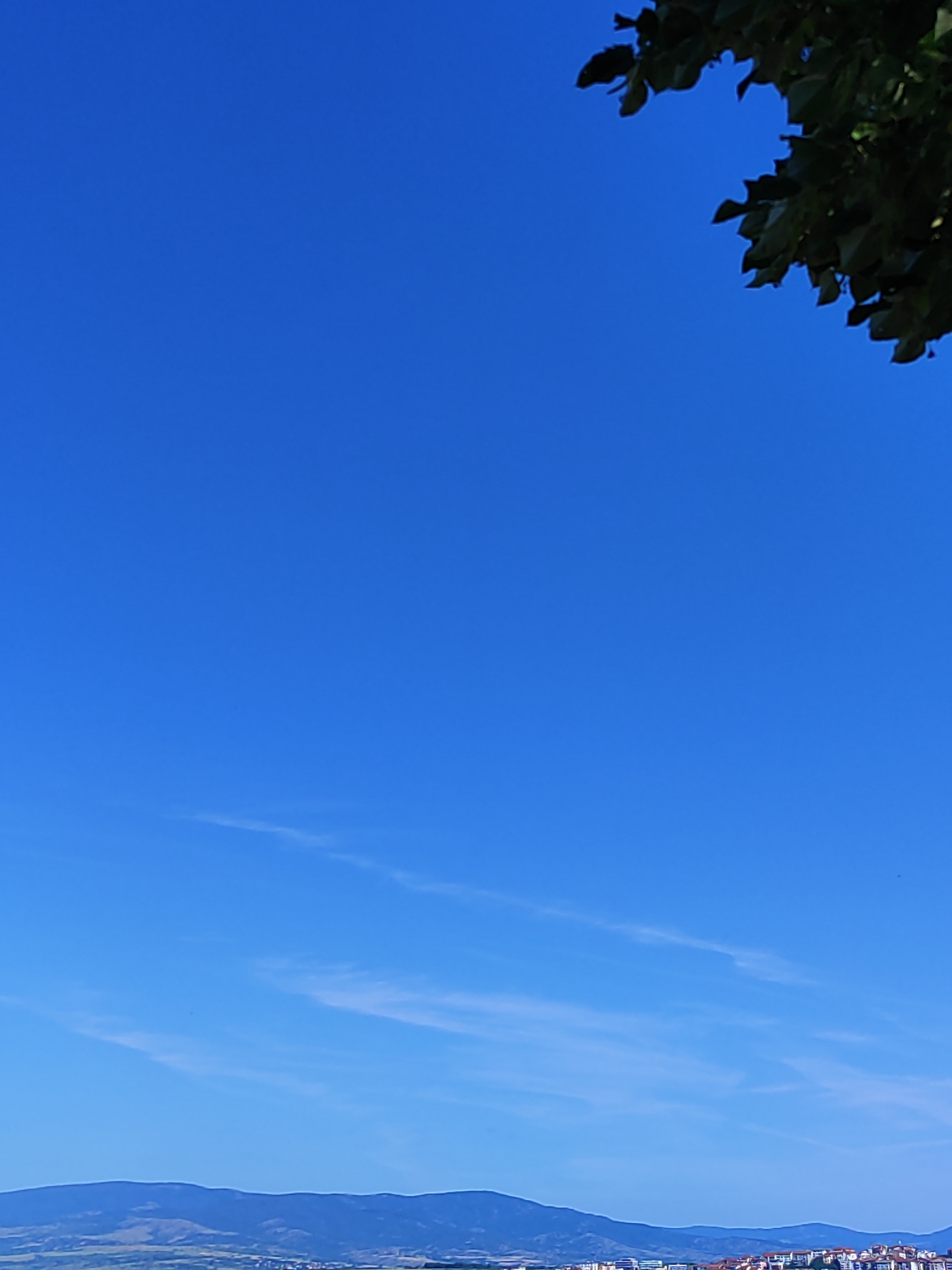 The image shows a vast expanse of a clear blue sky, dominating the upper two-thirds of the frame. In the top right corner, a few dark green leaves from a tree are visible, casting a subtle shadow against the bright sky. Towards the bottom of the image, a distant mountain range forms a dark, undulating silhouette against the horizon. Below the mountains, a settlement of buildings, with red-tiled roofs, is visible, suggesting a town or city. The overall scene depicts an outdoor environment on a clear day, likely in a location with both natural mountainous scenery and human habitation.