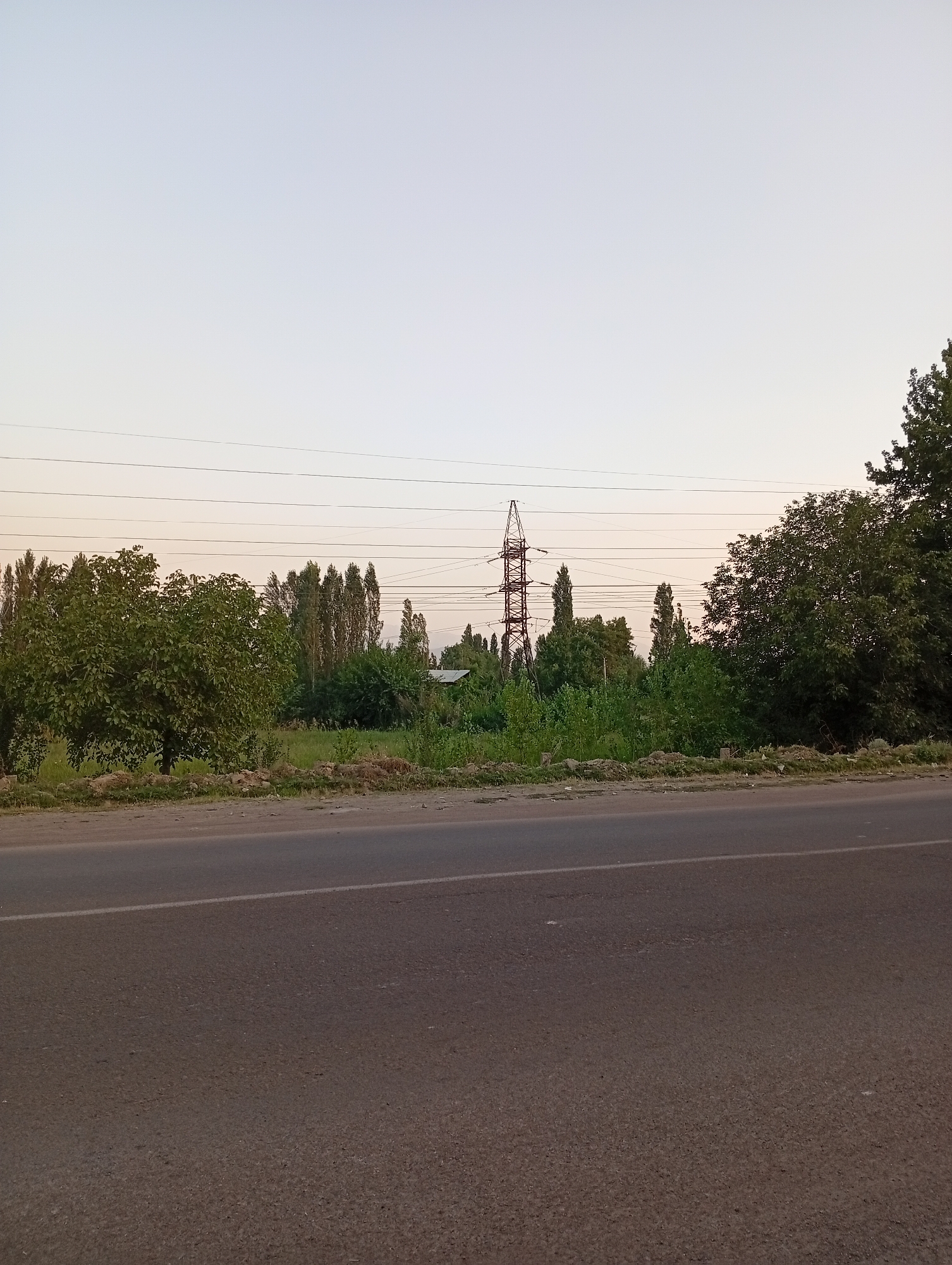 The image depicts a roadside view in Angren, Uzbekistan. In the foreground, a paved asphalt road with a white line marking runs horizontally across the lower half of the frame. Beyond the road, a narrow strip of dry grass and debris borders a vibrant green area characterized by various trees and foliage. A prominent, mature tree with lush green leaves stands on the left side of this green area. In the background, a tall lattice-like electricity pylon is visible, with several power lines stretching across the sky. A building with a light-colored roof is partially obscured by the trees. The sky above is a pale, hazy gradient, suggesting it is either early morning or late afternoon. The overall scene conveys a rural or semi-rural environment on the outskirts of Angren.