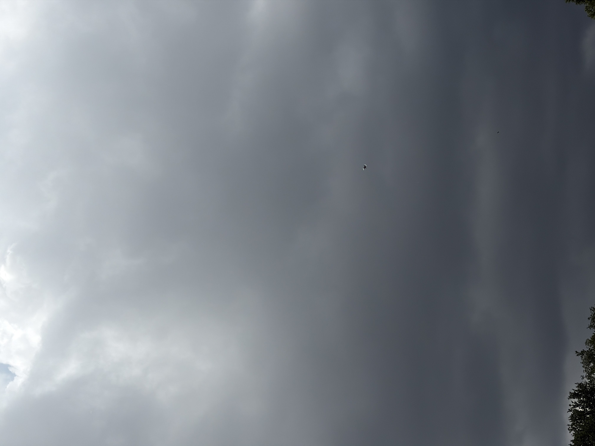 A distant view of a bird in flight against a cloudy sky. The bird is small and dark, appearing as a speck against the lighter clouds. The sky is filled with a variety of cloud formations, ranging from bright white to dark gray, suggesting an overcast or stormy day. The lower portion of the image shows the tops of dark green trees, indicating a natural or park-like setting. The image is likely taken from a ground-level perspective looking upwards.