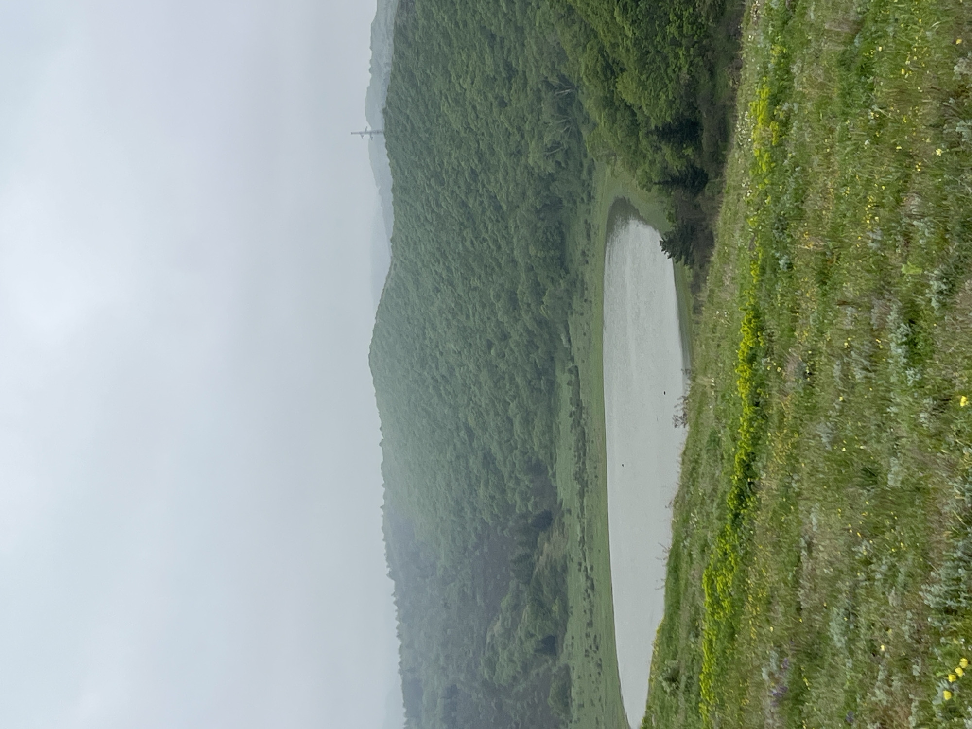 The scene shows a body of water, likely a pond or small lake, surrounded by vegetation and a tree-covered hillside. The sky is overcast, suggesting a cloudy or foggy day. The vegetation on the right side of the image consists of grass and some wildflowers. The hillside to the left of the water is densely covered with trees. In the background, a faint structure, possibly a power line or tower, is visible on the ridgeline. The image appears to be taken from a slightly elevated position. The location is indicated as Mukhatgverdi, Georgia.