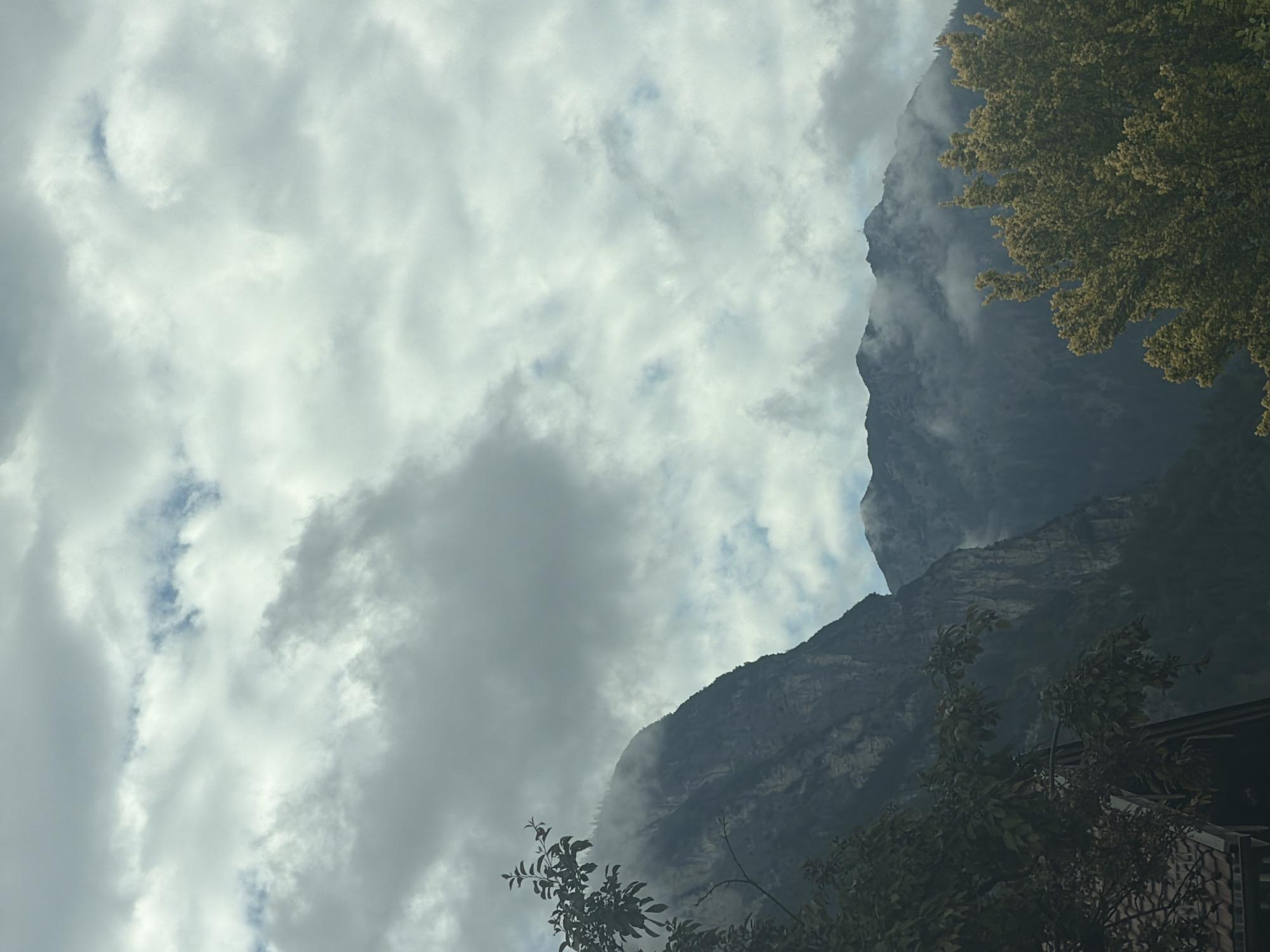 The image captures a mountainous landscape under a cloudy sky. The mountains are rugged, with visible rock formations and some covered in mist or low-lying clouds. A tree with foliage in varying shades of green is visible in the upper right corner, and additional foliage is present in the lower part of the image. The sky is filled with a mixture of white and gray clouds, with some hints of blue sky peeking through. The scene appears to be located in a mountainous region, possibly a city in a valley.