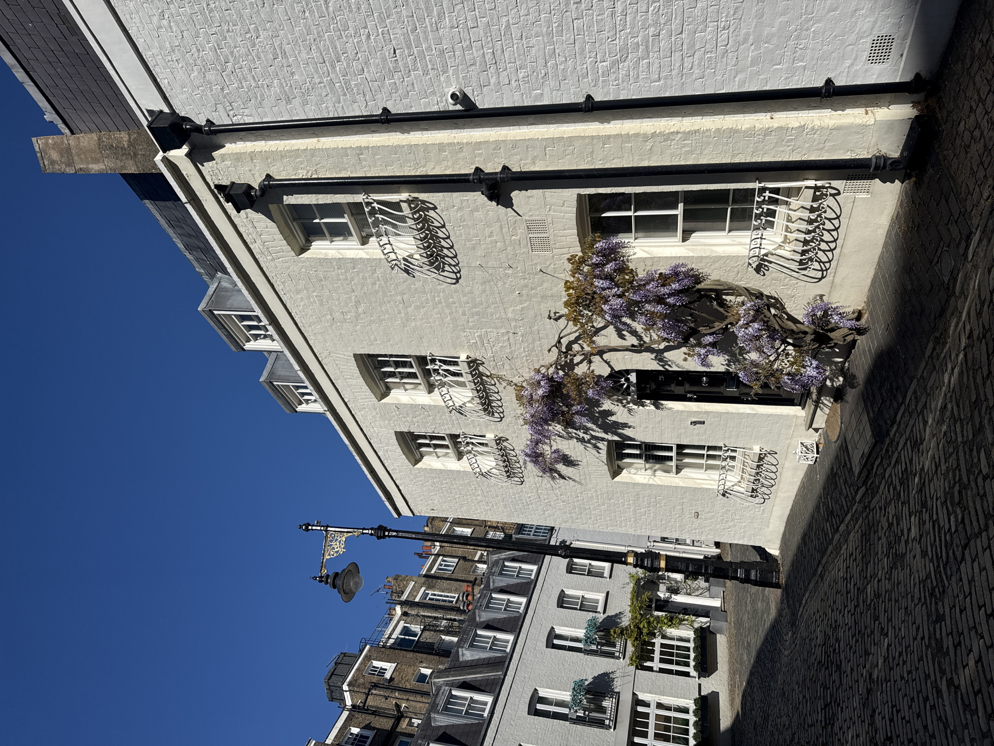 This media file captures a sunny street scene in London, featuring traditional architecture and a clear blue sky. The main subject is a prominent, light-colored brick building, likely painted a very light grey or off-white, occupying the right side of the frame. This building is adorned with vibrant purple wisteria flowers trailing gracefully around its entrance and across parts of its facade. Multiple windows with white frames are visible, many featuring ornate, white, curved metal grilles, possibly decorative window boxes or security bars. Black drainpipes run vertically down the building's exterior.
To the left and further down the street, several other buildings of similar architectural style, featuring multiple windows and pitched roofs, line the cobbled street. A traditional black lamppost with an ornate gold-colored bracket is positioned in the middle-left foreground, partially obscuring the view of the buildings beyond it.
The street itself is paved with dark, aged cobblestones, which curve gently into the distance. Shadows are cast across parts of the street and buildings, indicating bright daylight and a sunny day. The clear, deep blue sky dominates the upper portion of the image. There are no people or animals visible, giving the scene a tranquil atmosphere. The overall setting suggests a charming, historic London street, characterized by well-preserved buildings and period details. There is no visible text.