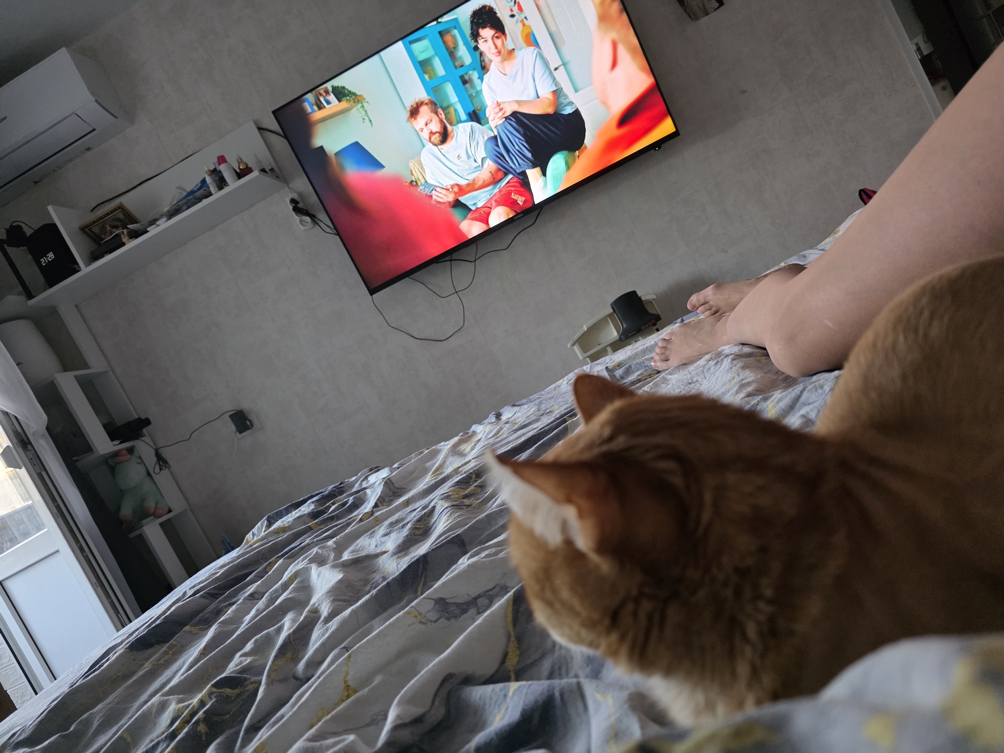 The image depicts an indoor scene, likely a bedroom, as indicated by the presence of a bed with patterned sheets. A ginger cat is visible in the foreground, its back and head facing away from the camera, resting on the bed. In the background, a television screen displays a scene with two people. A person's legs and feet are visible on the right side of the image, also on the bed. To the left, a white shelf is mounted on the wall, holding various items including a digital clock displaying "21:28", a framed picture, and bottles. An air conditioning unit is mounted on the wall above the shelf. The overall environment appears to be a domestic setting. The specific location in Chaikovsky, Russia, cannot be determined from the visual information provided in the image.