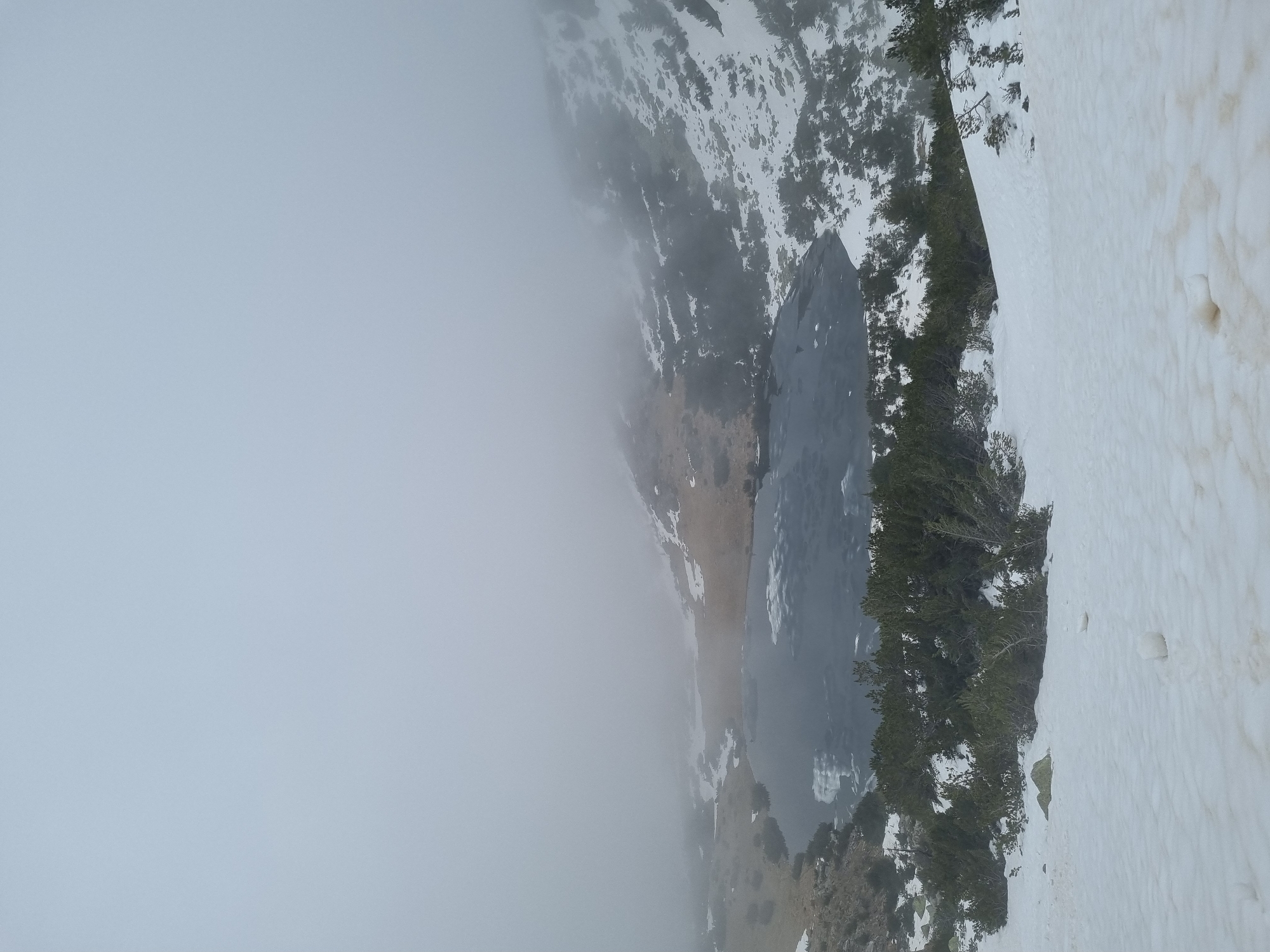 The image shows a mountainous landscape in Govedartsi, Bulgaria. A lake fills the center, partially obscured by fog. Trees line the right edge of the lake, transitioning into a snow-covered area. The left side of the image is dominated by dense fog, obscuring the terrain. The view appears to be from an elevated perspective.