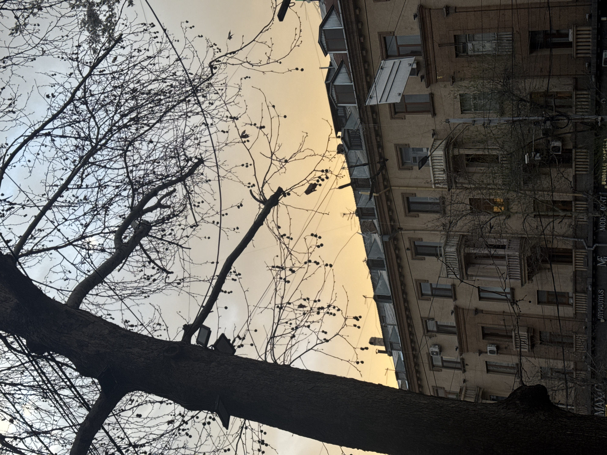 The image captures a street scene in Yerevan, Armenia, viewed from a low angle. A large tree with bare branches dominates the foreground, obscuring part of the sky. The sky transitions from a cloudy gray to a warm, golden hue near the horizon. A multi-story building stands in the background, featuring a facade with multiple windows and balconies, as well as visible air conditioning units. A dark sign with text in a foreign language is attached to the building. Power lines run diagonally across the sky, intersecting the branches of the tree.