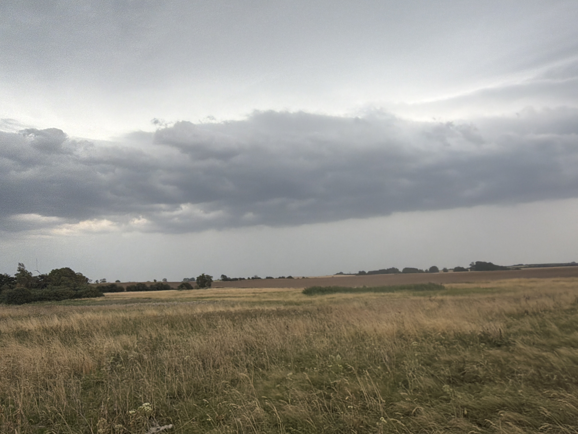 The image depicts a rural landscape under a heavily overcast sky, likely in the vicinity of Gremersdorf, Germany. A vast field of dry, golden-brown grass dominates the foreground, with some green vegetation interspersed. The grass appears windswept, indicating a breezy condition. In the middle ground, there is a line of trees and shrubs, with a cultivated field of a lighter brown color visible beyond them. Further in the distance, rolling hills are discernible, also sparsely populated with trees. The sky is filled with thick, dark gray clouds, suggesting impending rain or a storm. There are no people or animals visible in the scene. The overall impression is one of a subdued, natural environment.