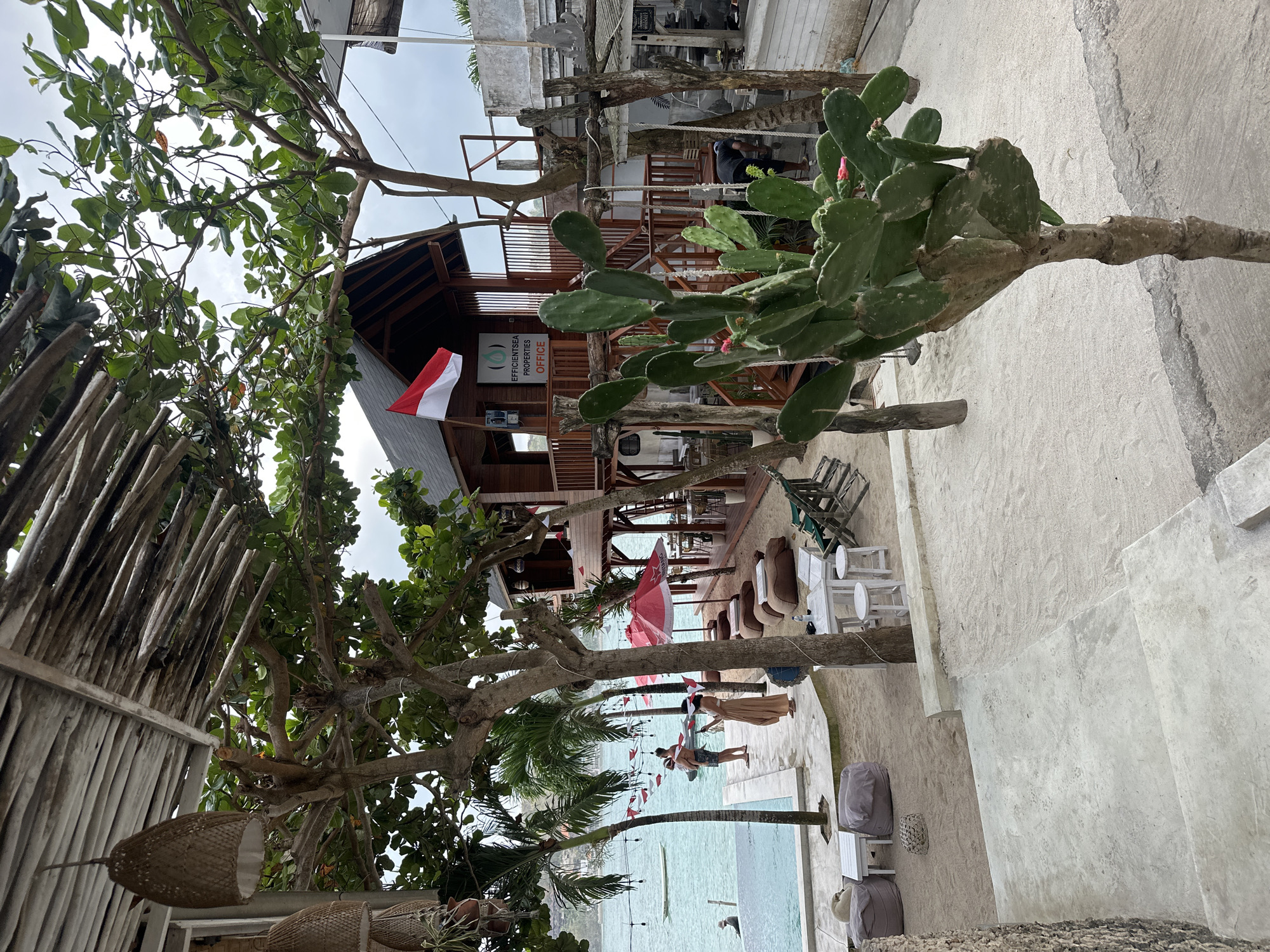 This image depicts a beachside establishment in Nusa Penida, Indonesia. The scene features a multi-level wooden structure with an Indonesian flag displayed prominently. In the foreground, a prickly pear cactus stands tall. The surrounding area is sandy, with outdoor seating arrangements including tables and chairs, as well as beanbag chairs. A swimming pool is visible on the left, with people in and around it. Palm trees and lush green foliage are scattered throughout the scene, indicating a tropical environment. The ocean is visible in the background under an overcast sky. The overall impression is a relaxed, tropical resort setting.