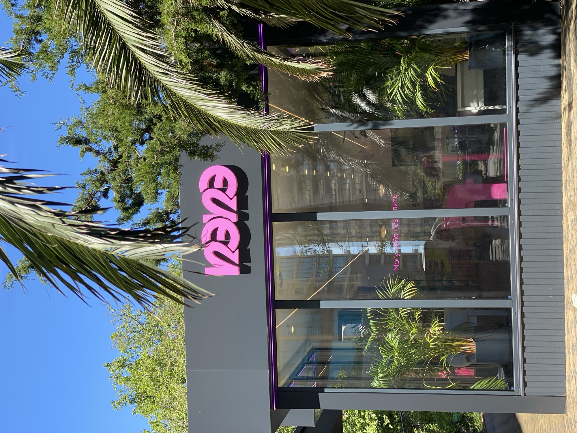 A bright, sunlit outdoor shot captures a modern storefront, set against a backdrop of lush subtropical vegetation and a clear blue sky, consistent with the location context of Sochi, Russia. The building features a dark gray facade with a prominent, stylized pink logo resembling "VIVI" or "V2/2" mounted on its front. A thin purple neon strip runs along the bottom edge of the logo's panel.
Large, clear glass windows make up much of the storefront, reflecting the surrounding palm trees, other green foliage, and the vibrant blue sky. Inside the store, a large potted palm plant is visible, and the reflections also show glimpses of what appears to be a modern interior, possibly with pink-colored furniture. Sunlight creates strong highlights and shadows, indicating midday conditions with clear, excellent weather.
Through the windows, partially obscured by reflections and interior elements, Cyrillic text can be seen on a sign. The visible part reads "Могу себе поз..." with the word "пить" also discernible further along, likely forming part of the phrase "Могу себе позволить" (meaning "I can afford it" or "I can allow myself"). Several large palm fronds and other green trees frame the building from above and the sides, emphasizing the verdant environment. No people are visible, and the scene conveys a calm, inviting atmosphere.